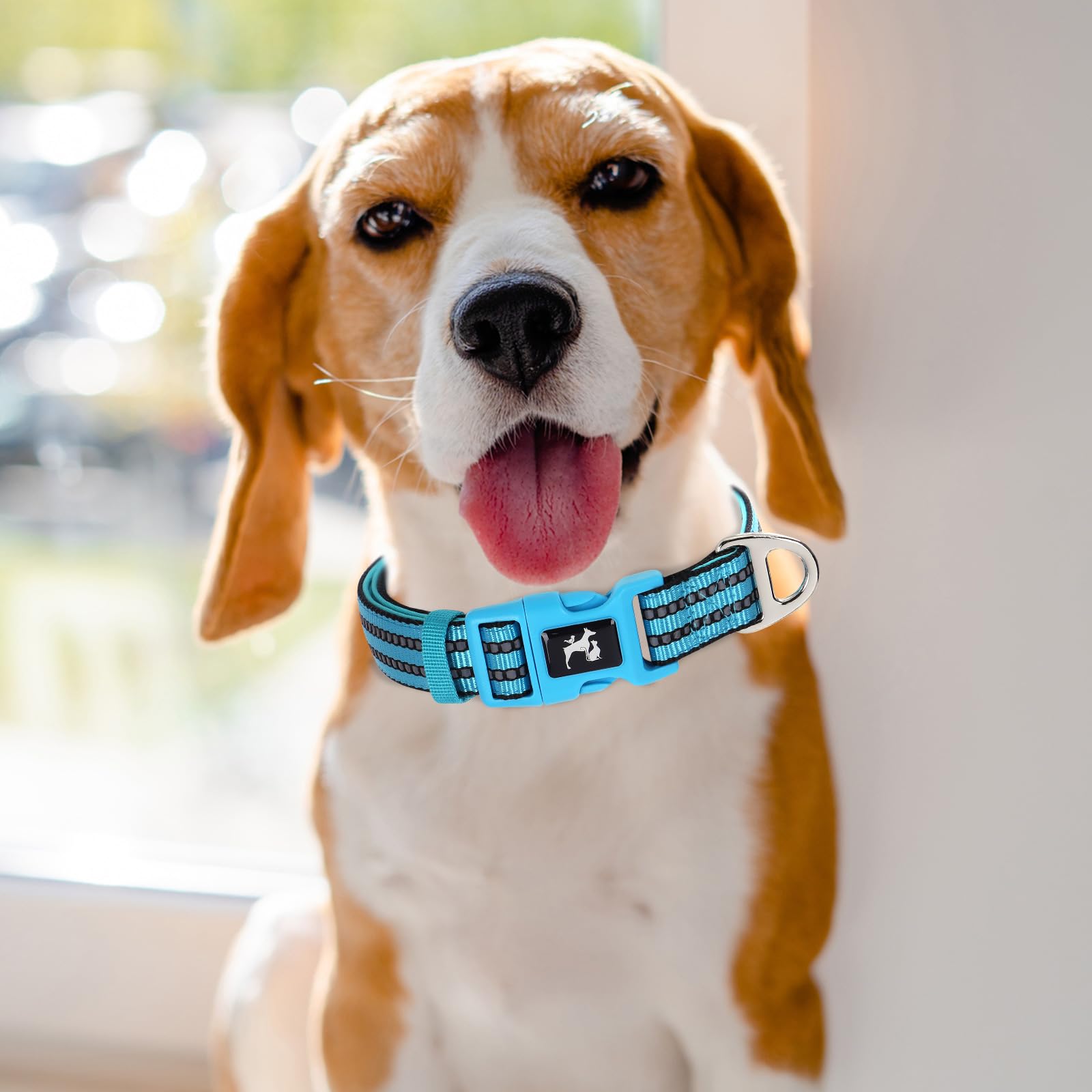 Reflective Dog Collar With Soft Neoprene Padded, Adjustable Breathable Nylon Comfort Durable For Safety Night Visibility - Gift