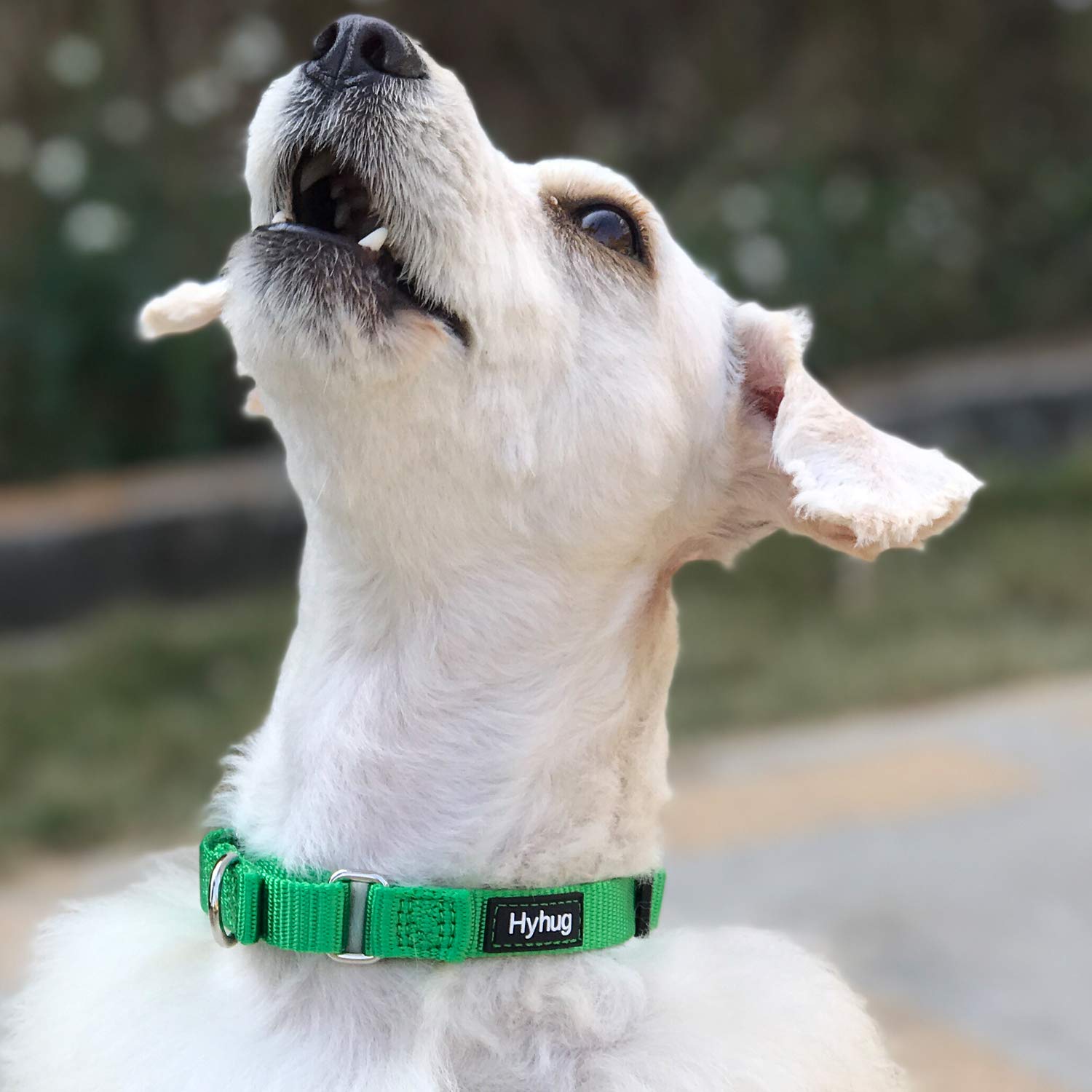 Hyhug Martingale Dog Collar Without Buckle: Anti Escape, No Slip Heavy Duty Nylon, Colorfast Adjustable Pet Supplies For Medium
