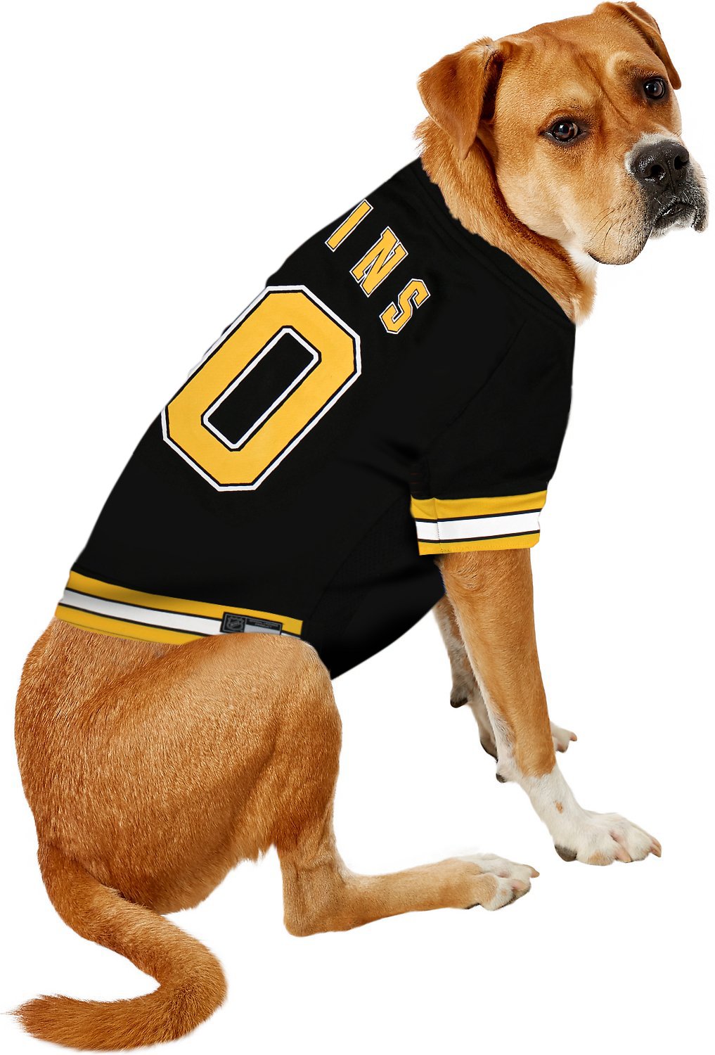 Pets First NHL Boston Bruins Jersey for Dogs & Cats, X-Small. - Let Your Pet Be A Real NHL Fan!