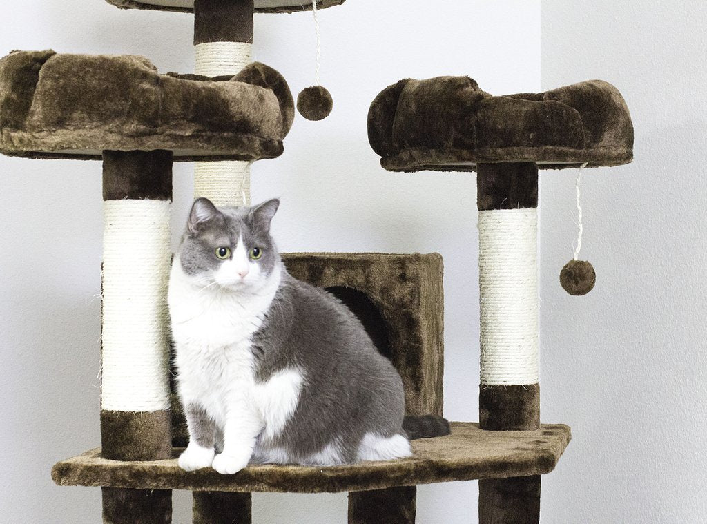 Tall Climbing Cat Tower for Active Cats, Mocha