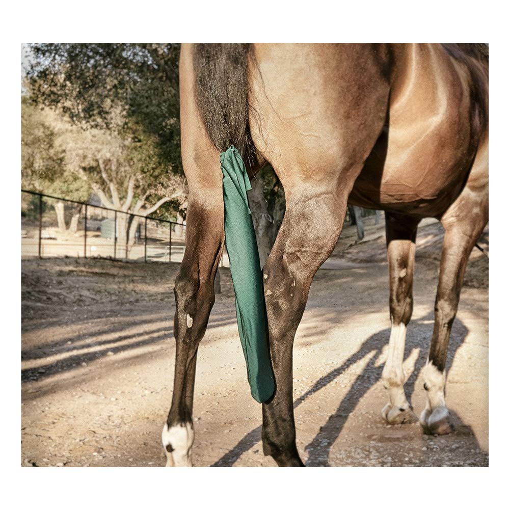 Sleazy Sleepwear For Horses Standard Tail Bag Hunter
