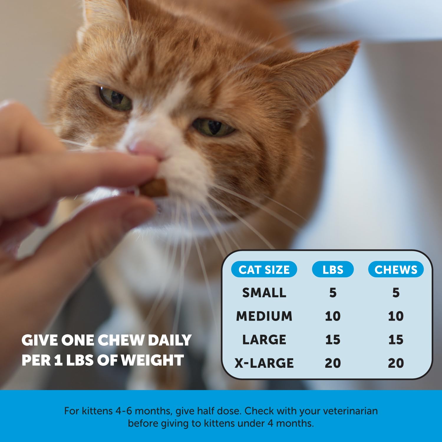 Pet Honesty Cat Skin & Coat Health Chews - Omegas, Vitamin C + E, Biotin Supplement, Soothes Skin and Promotes Shiny Coat, Cat S