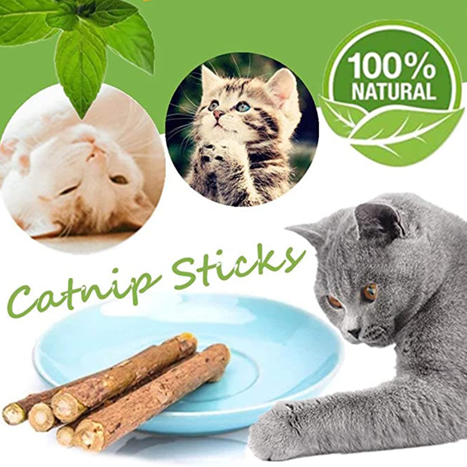 Ueerdand 50 Pcs Catnip Sticks Organic Cat Chew Toys Natural Plant Matatabi Silvervine Chew Sticks Cat Teeth Cleaning Chew Toy Cat Kitten Kitty