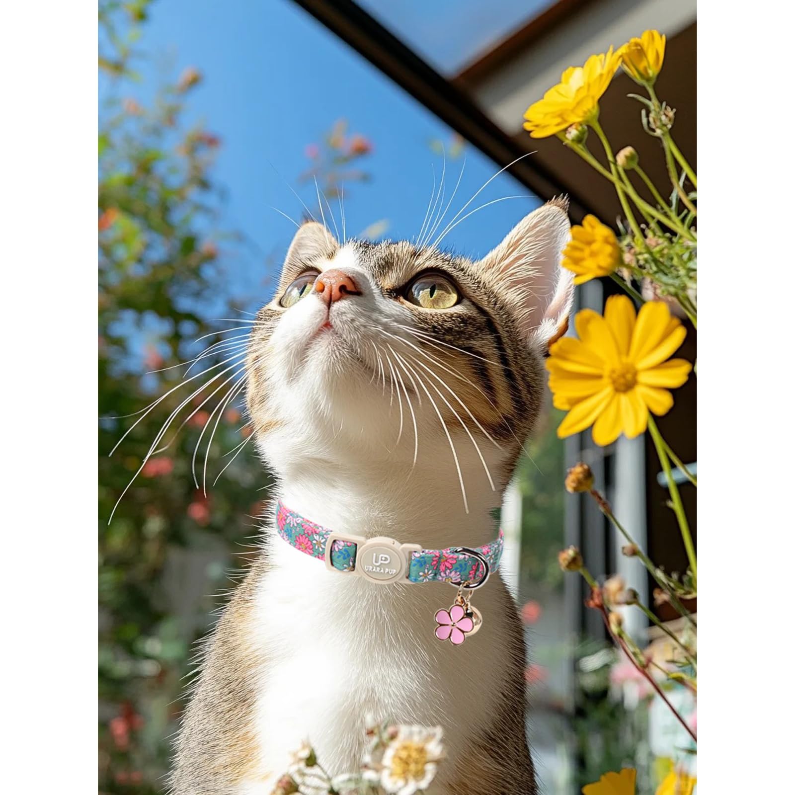 Up Urara Pup Cat Collar,2Pack Summer Cat Collars Cute Breakaway,Spring Green Leaf Flower Kitten Collar With Bell, Kitty Collars
