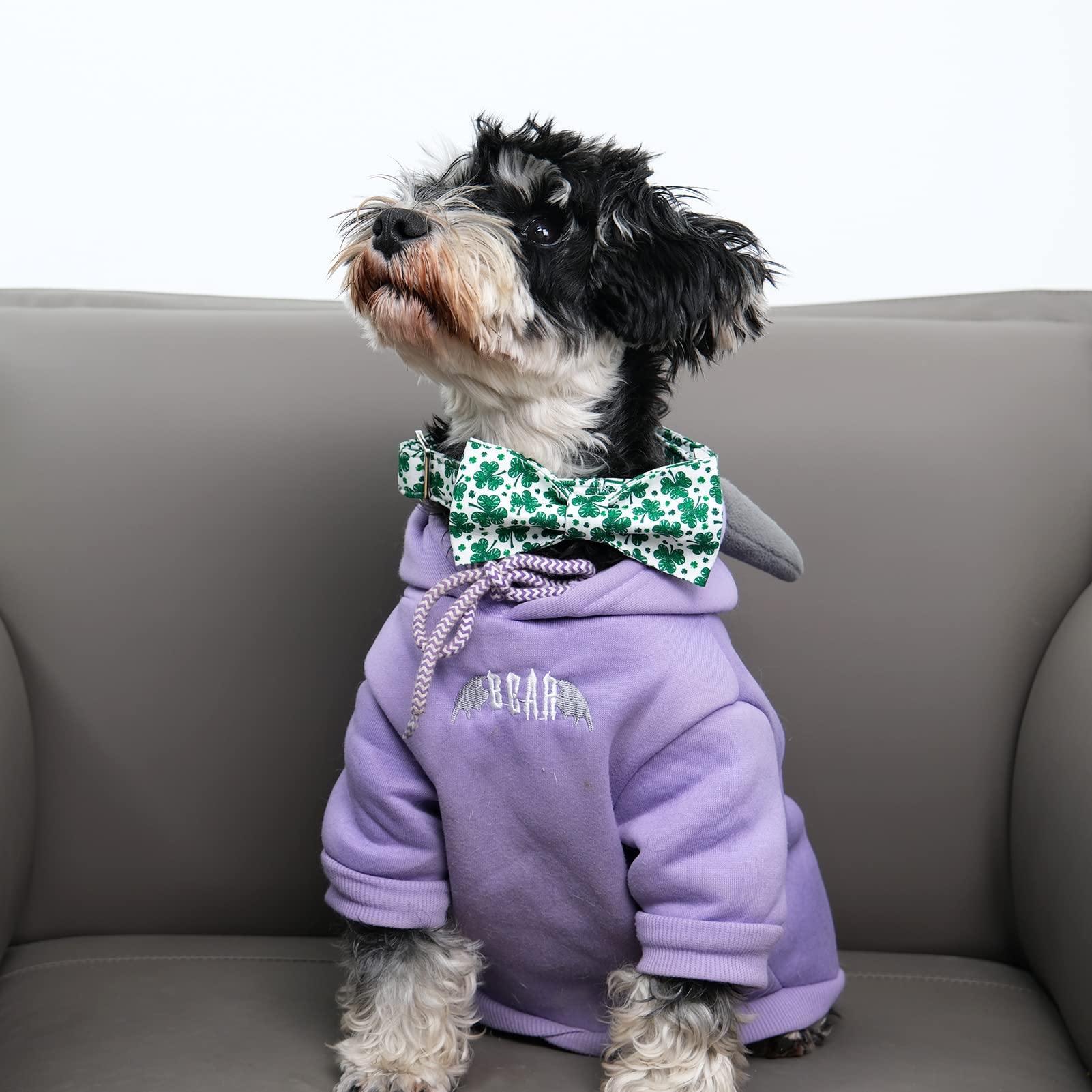 Mr. Chubbyface St.Patrick'S Day Green Clovers Dog Collar Adjustable Dog Collar Bow Tie For Small Medium Large Dogs