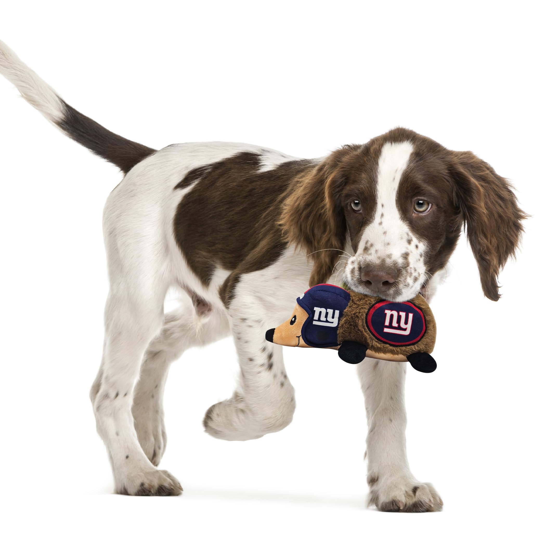 Nfl New York Giants Plush Hedgehog Toy For Dogs & Cats, Cool Soft Pet Toy For Fun And Interactive Play, Dog Chew Toy With Squeak