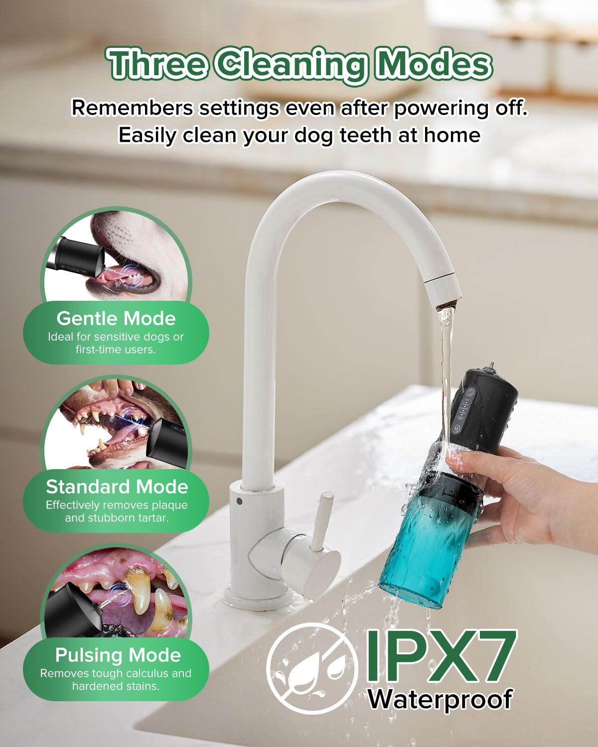 YABIFE Non-Vibrating Ultrasonic Tooth Cleaner for Dogs with Water Cooling System. Dog Plaque and Starter Remover, with Dental Ca