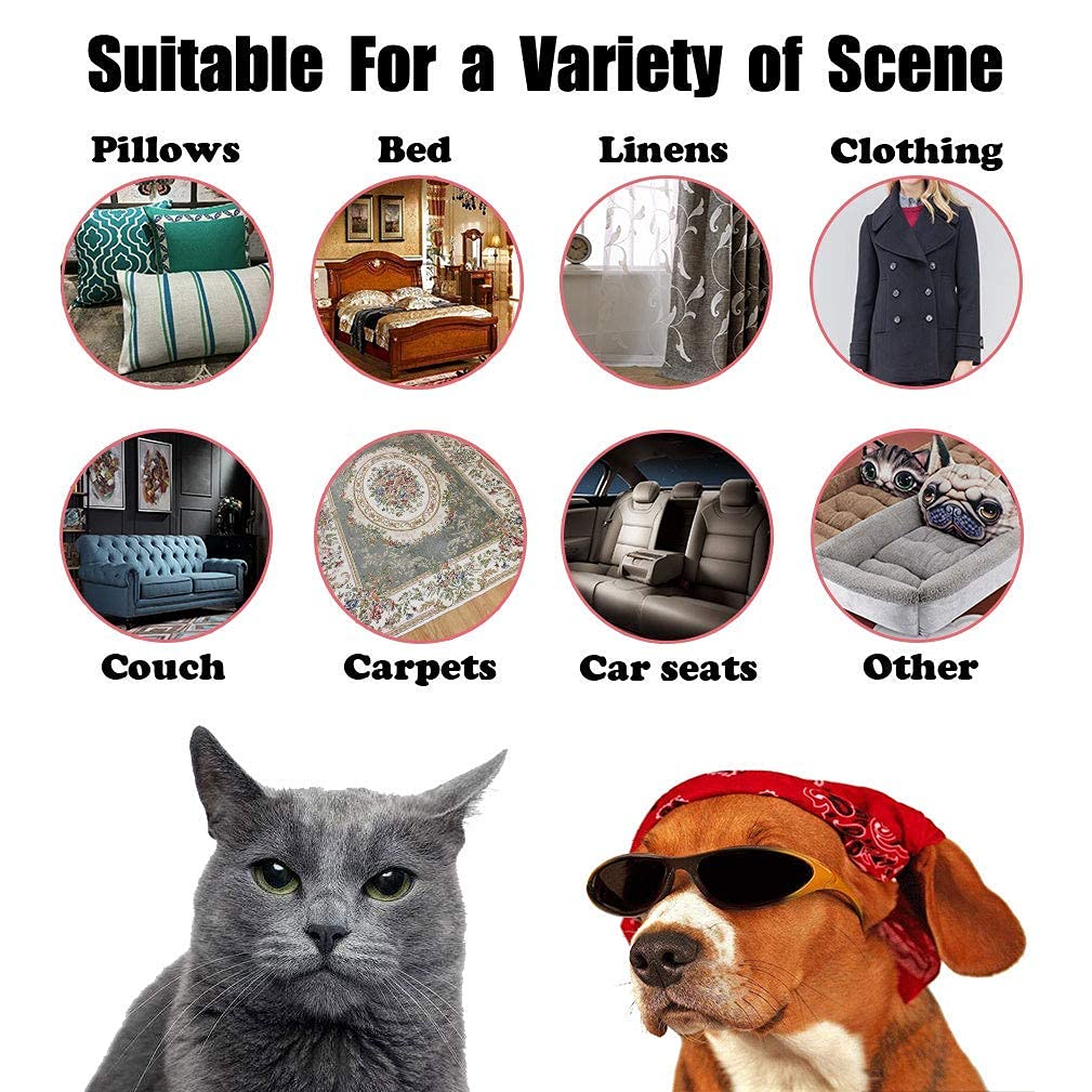 Battlehymn Pet Hair Remover Brush Clean Cat Dog Hair Remove Pumice Stone From Carpet Bedding Car Clothing,3 Pack