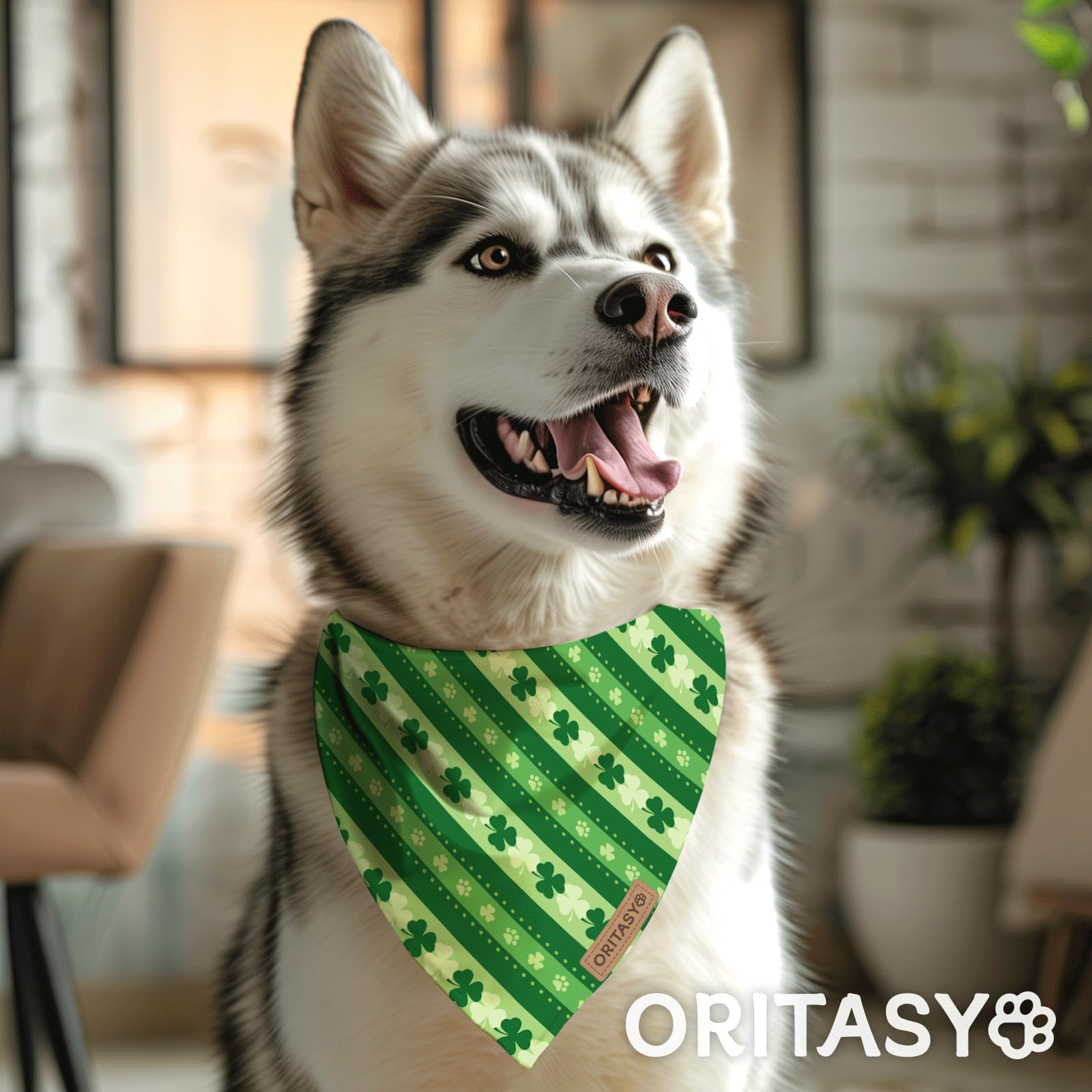Oritasy St. Patrick's Day Dog Bandanas, 2-Pack Triangle Reversible Love Pet Scarves, Premium Fabric, Irish Bandana for All Dogs