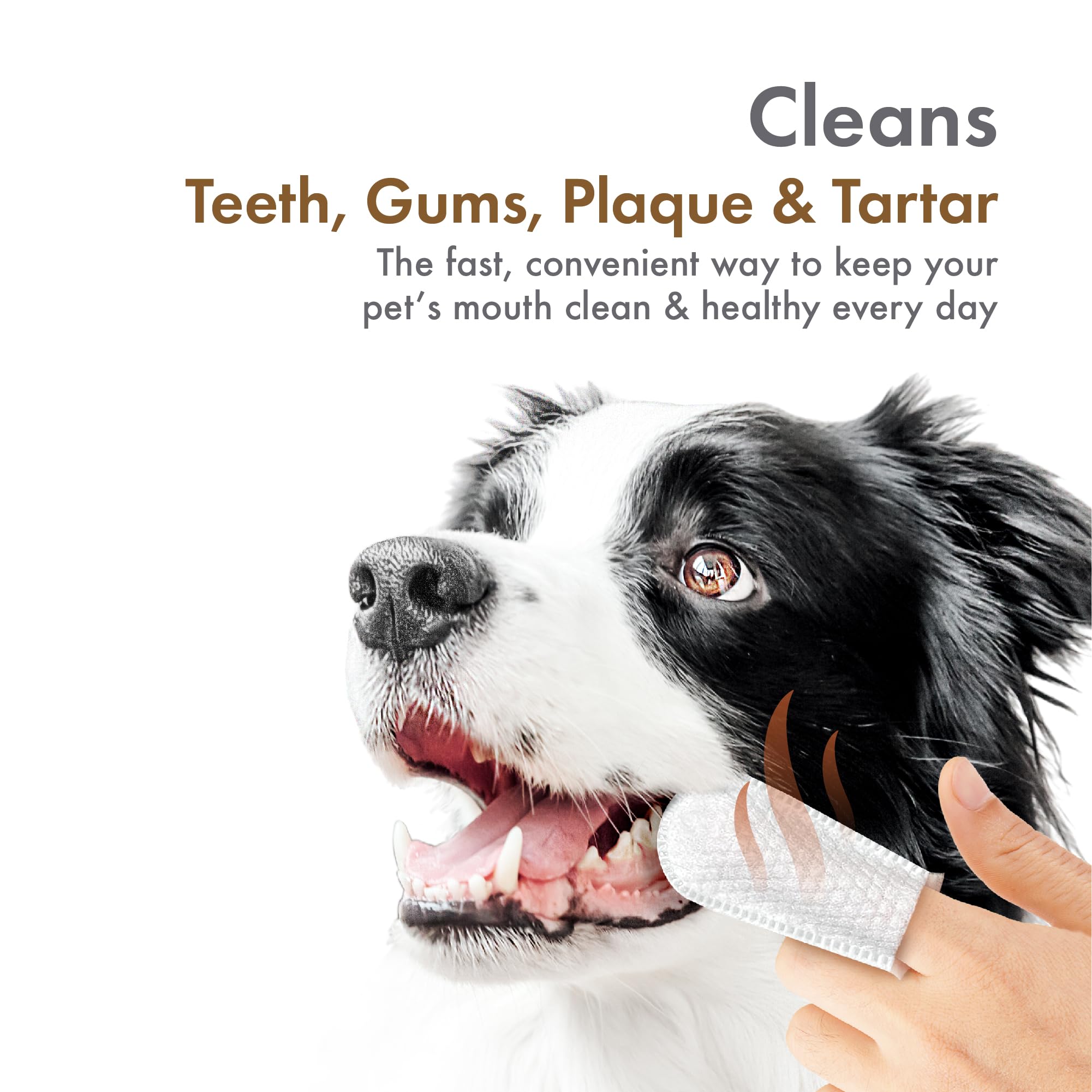 Petkin Fingertip Tooth Wipes for Dogs and Cats, 50 Finger Wipes - Slip-On, Snug Fit, Micro-Bristle Fabric - Cleans Teeth, Gums,