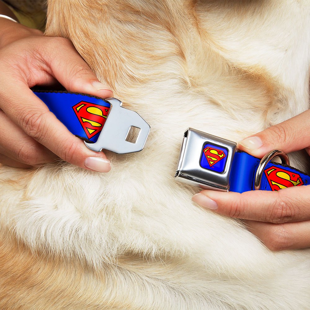 Buckle-Down Dog Collar Seatbelt Buckle Superman Shield Blue 9 To 15 Inches 1.0 Inch Wide, Multi Color (Dc-Wsm001-S)