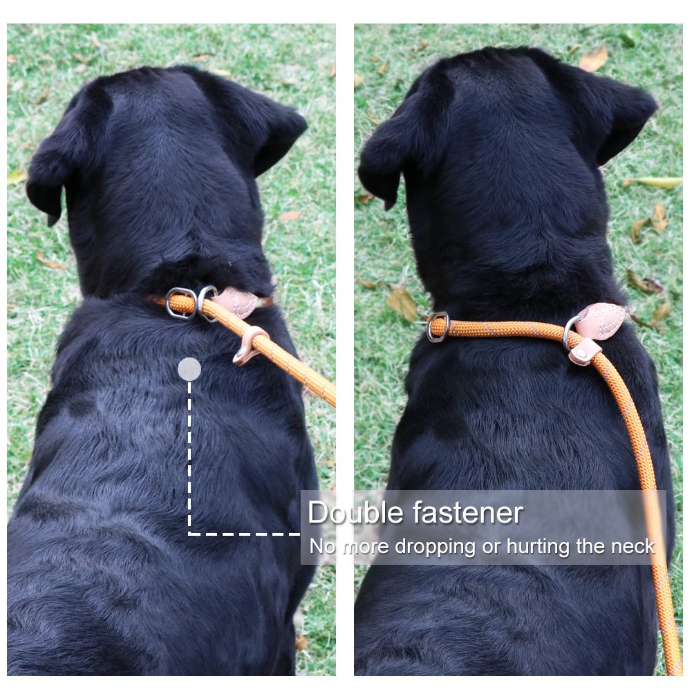 Grand Line Slip Lead Dog Leash, 5Ft Reflective Slip Rope, Puppy Training Walking Controlling Lead, Slip Collar Pet Leash For Small, Medium, Large Dogs (Orange, Medium-2/5In X 5Ft)
