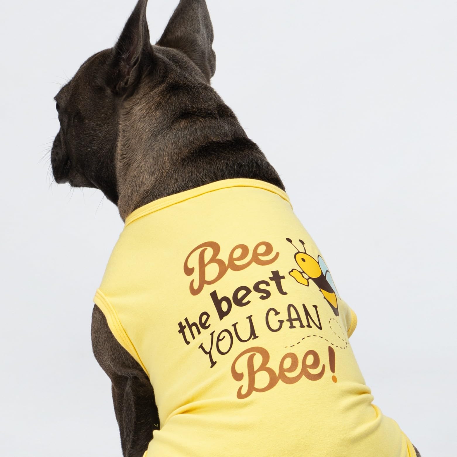 Fitwarm Bee The Best You Can Dog Shirt, Summer Clothes For Small Dogs Boy Girl, Funny Pet Outfit, Yellow, Brown, Blue, Medium