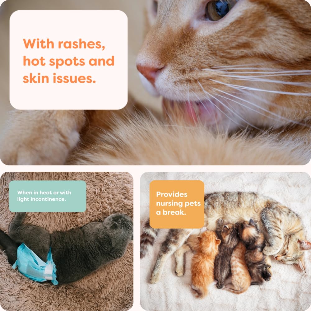 Suitical Cat Recovery Suit For Spay, Neuter, Suture, Incision, & Skin Conditions - Breathable Fabric With Back Opening - Xs, Tig