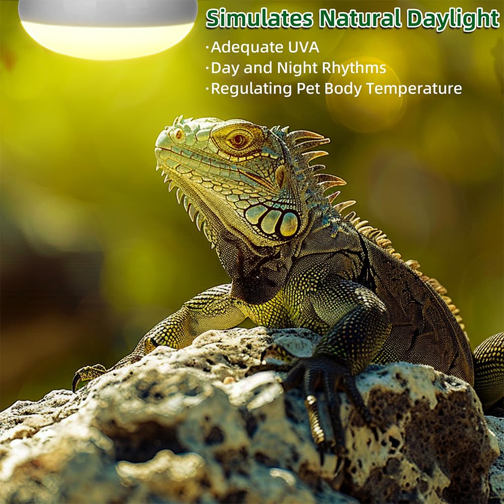 DaToo Reptile Heat Lamp 100W Amphibians Basking Light Bulb UVA Heat Lamp Bulbs Daylight Basking Spot Light for Lizards Bearded D