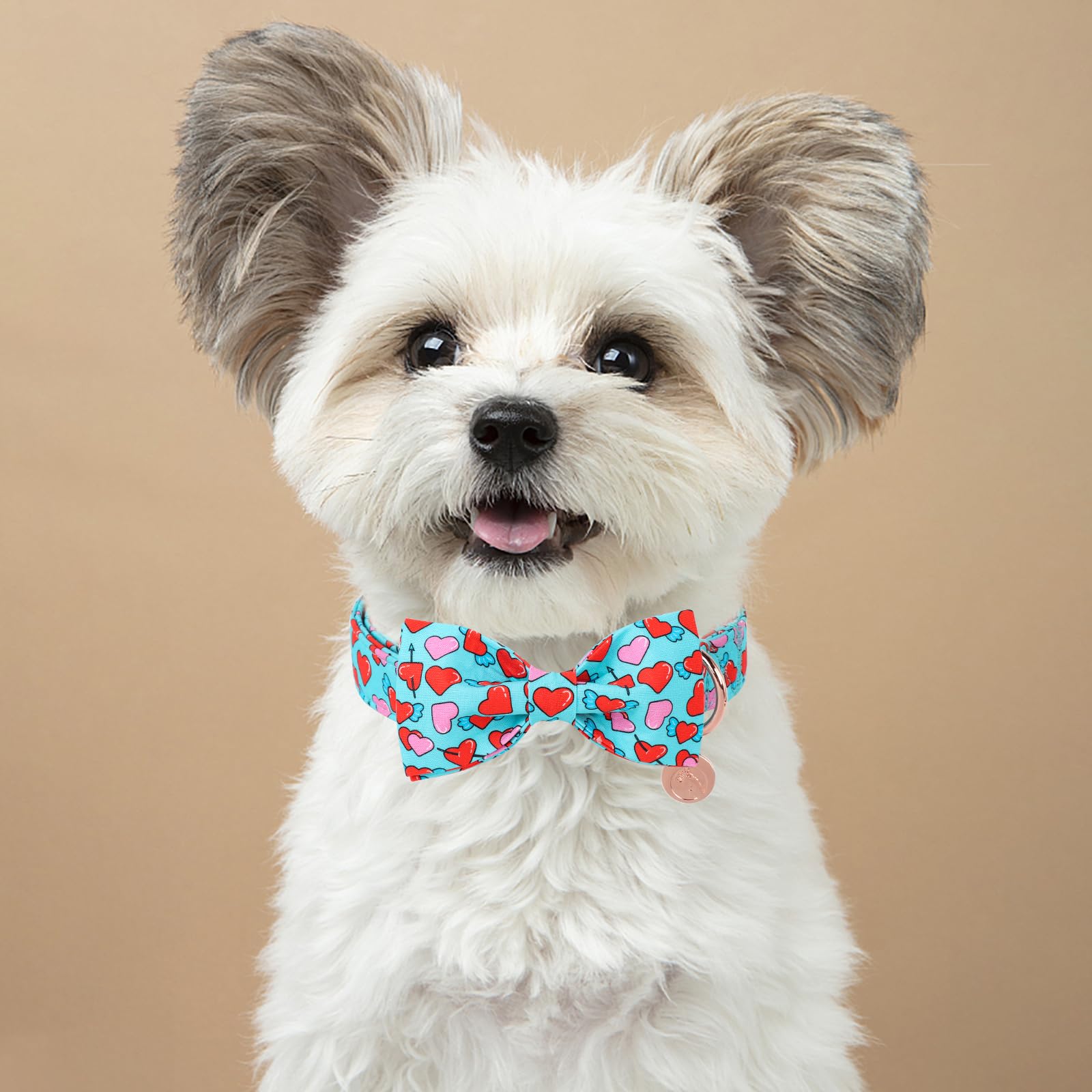 Dogwong Valentine Dog Collar With Bow, Blue Heart, Soft Cotton, Perfect Fit For Small Dogs