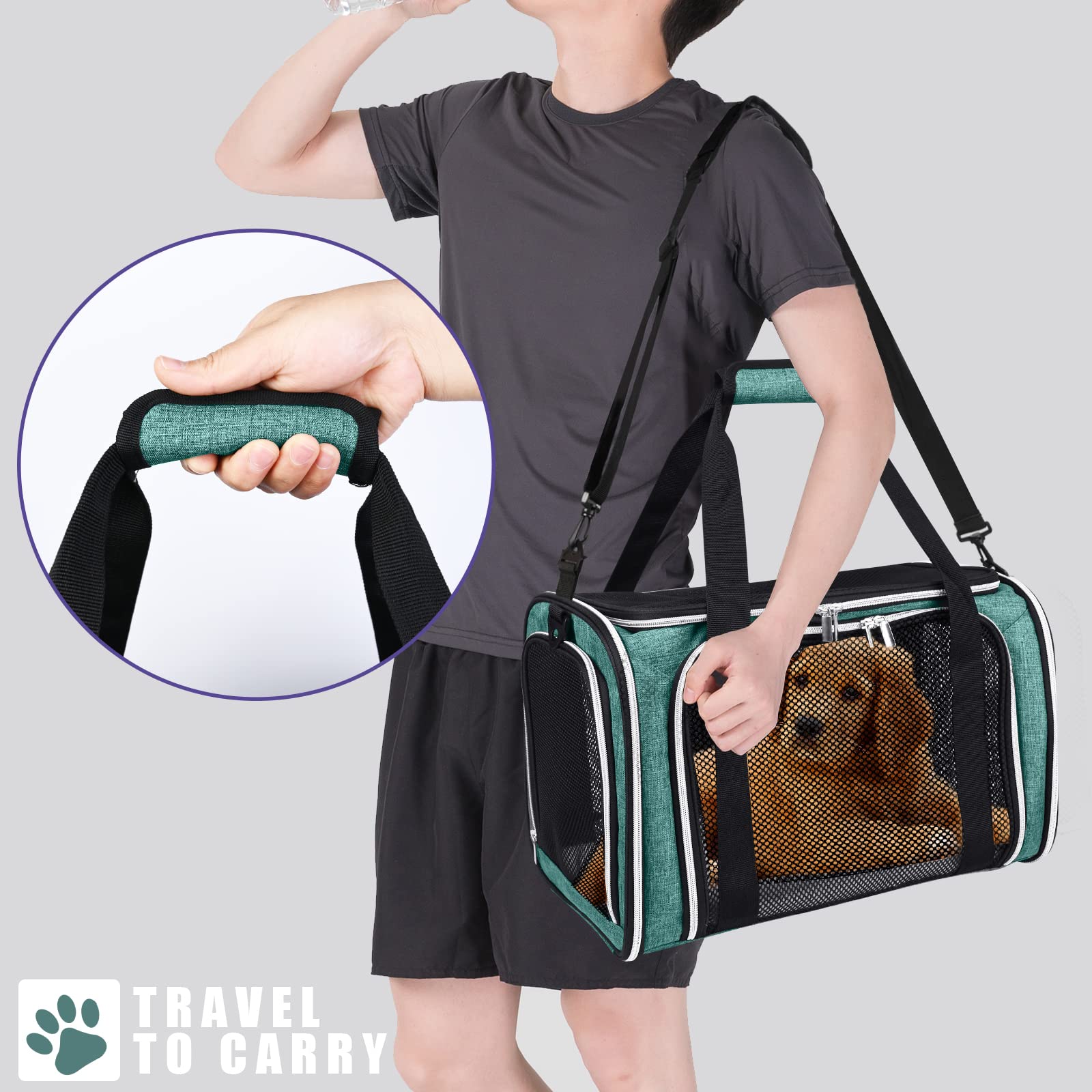 Baglher Pet Travel Carrier, Cat Carriers Dog Carrier For Small Medium Cats Dogs Puppies, Airline Approved Small Dog Carrier Soft Sided, Collapsible Puppy Carrier. Green