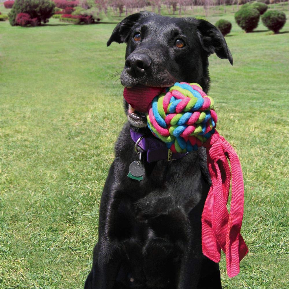 Kong - Wubba Weaves With Rope - Durable Dog Fetch And Chew Toy, Cleans Teeth - For Large Dogs (Colors Vary)
