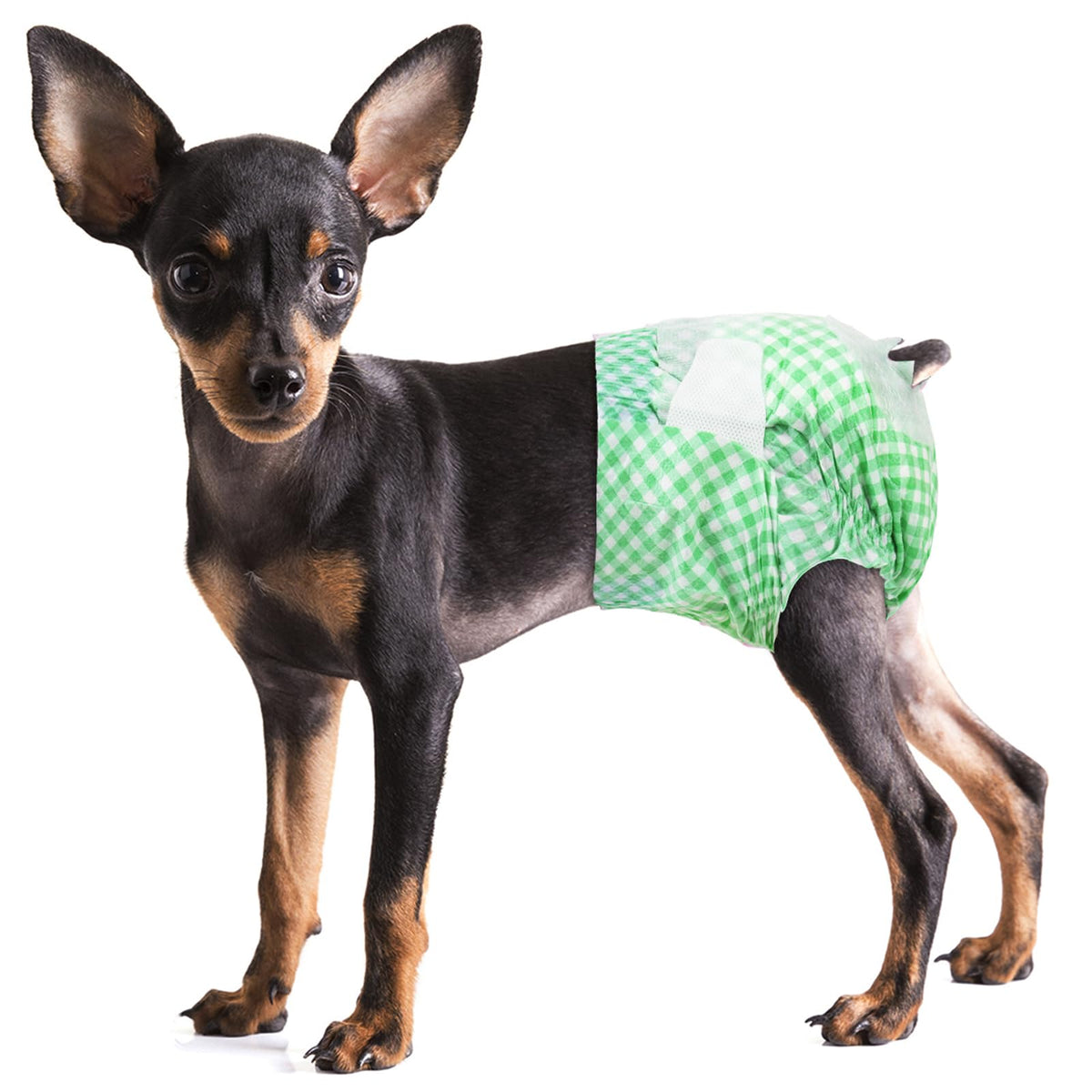 Pet Soft Dog Diapers Female - Disposable Doggie Diapers For Female Dogs, Puppy & Cat Diapers With Adjustable Foam Tail Hole, 24Pcs (Xs,Green)