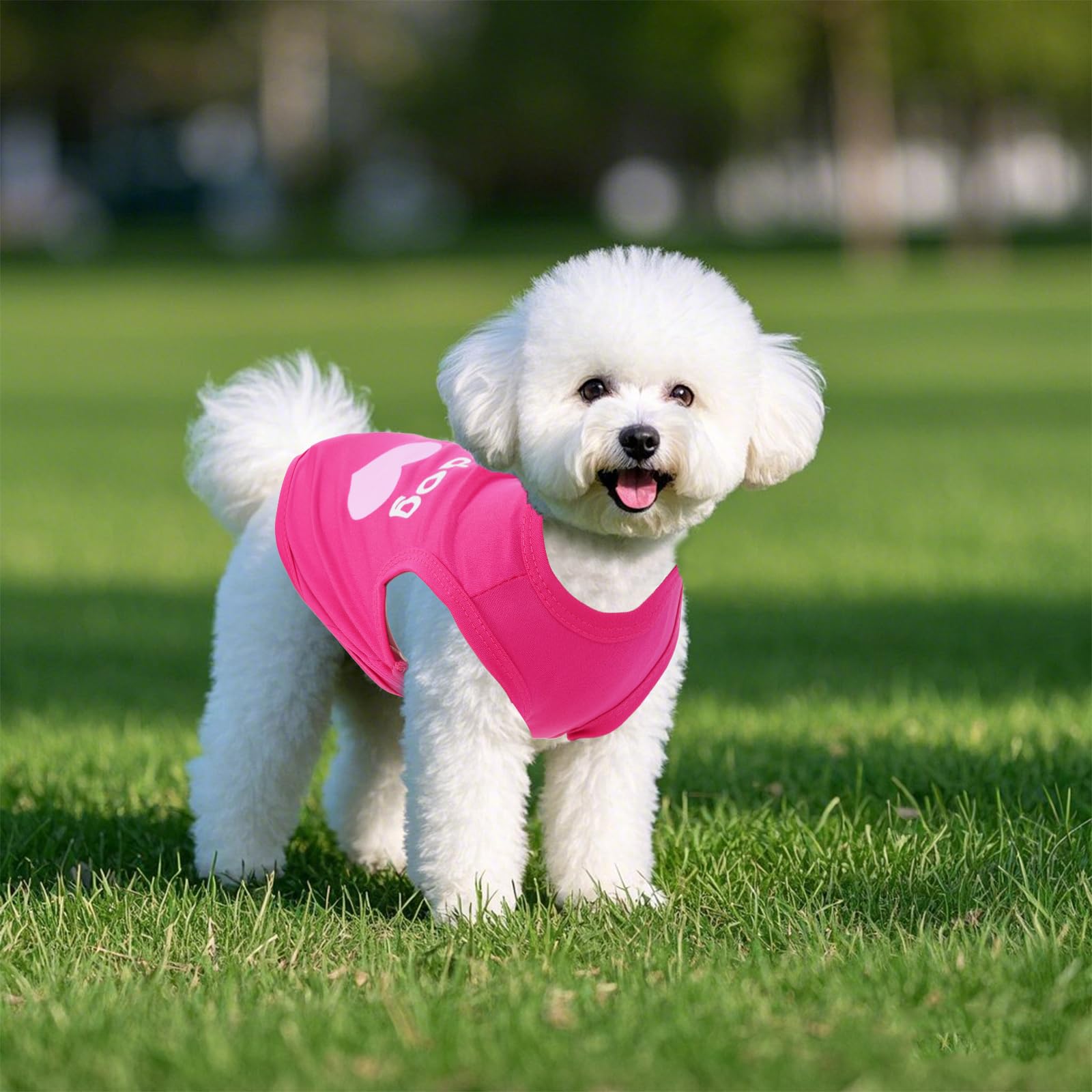 Pistha 4 Pack Dog Shirts Summer Printed Puppy Clothes Cute Sleeveless Pet T Shirts Dog Clothes For Small Medium Dogs Cats Girl(M