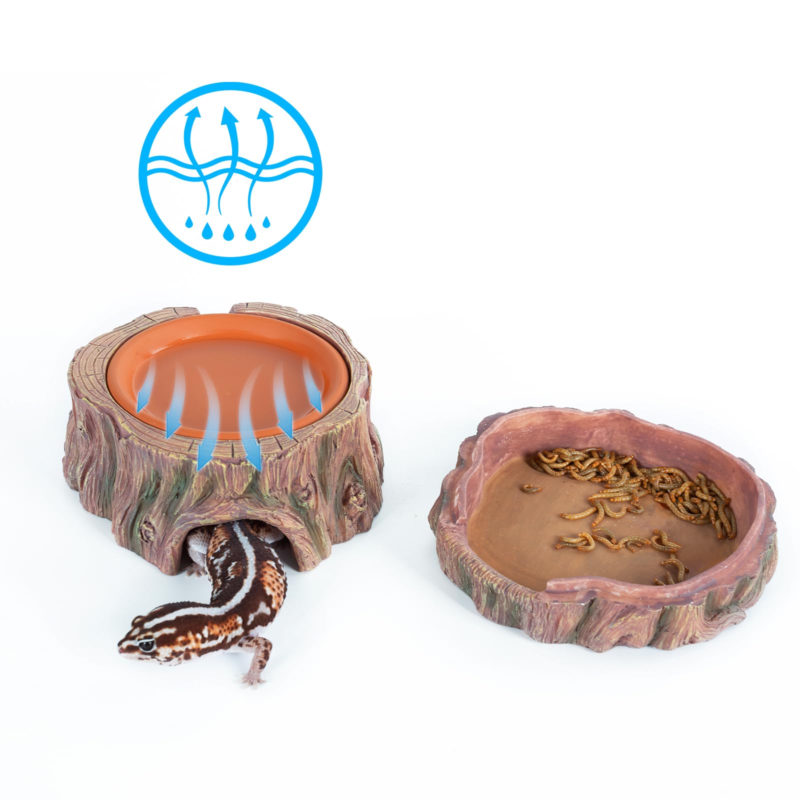CAVACHEW 3 in 1 Reptile Hide Cave with Detachable Base & Humidity Dish, Essential Tank Terrarium Decor Humid Hideout Accessories
