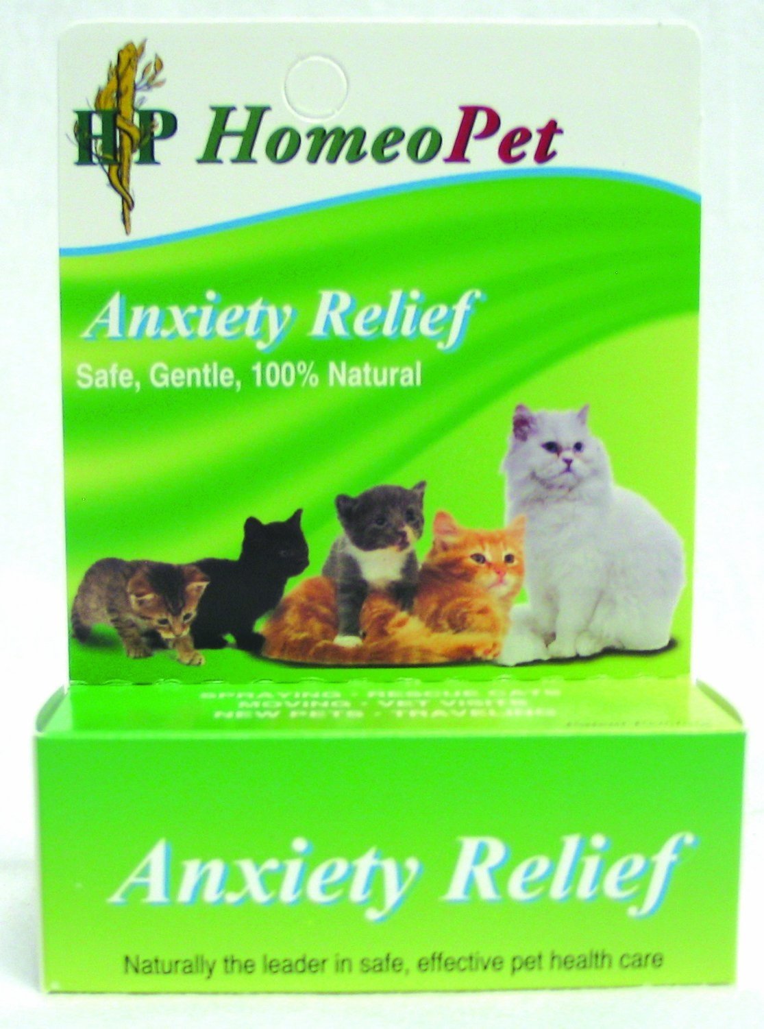 Anxiety Relief Medicine For Cats