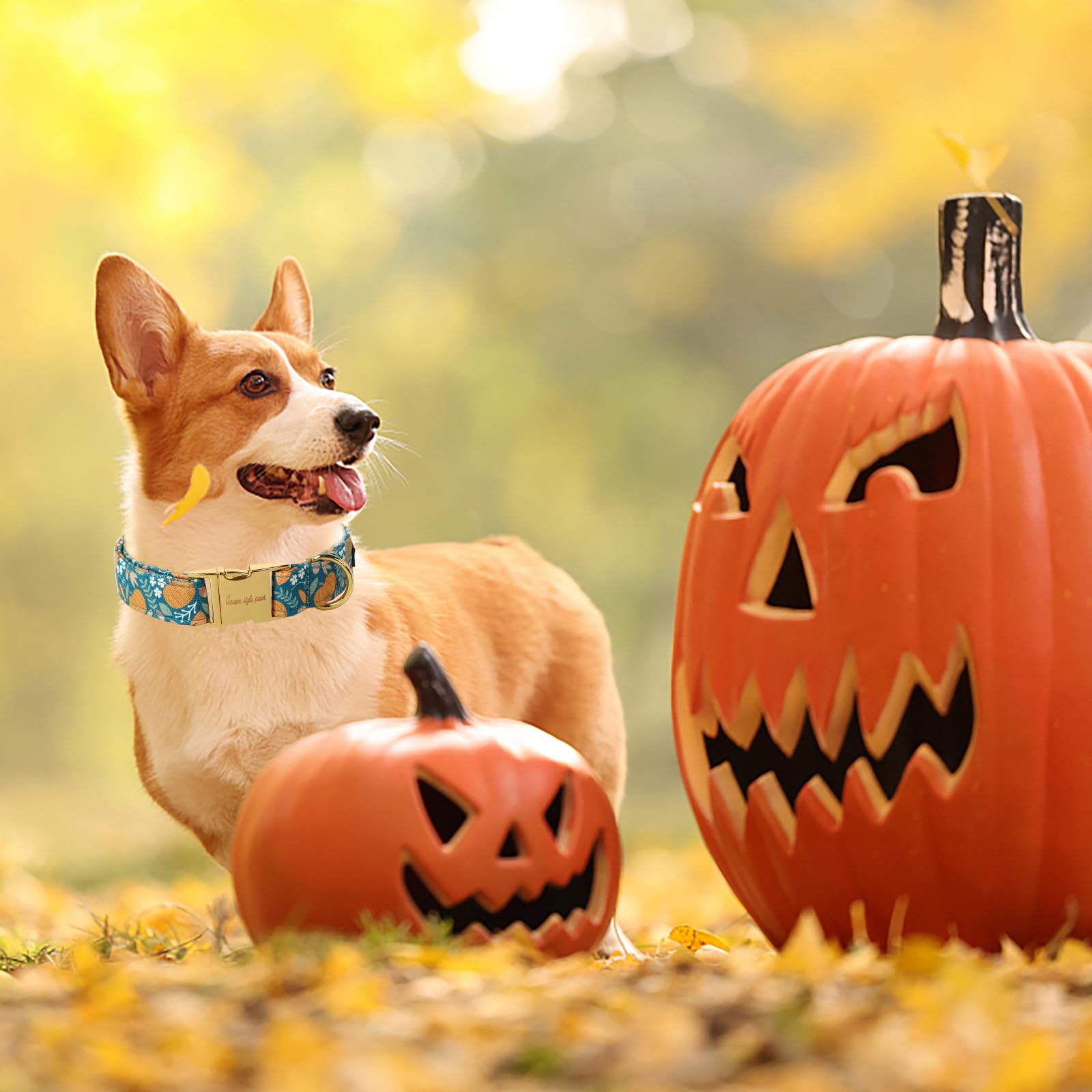 Unique Style Paws Halloween Dog Collar Metal Buckle Green Pumpkin Puppy Collar Gift Durable Cute Collar For Small Medium Large B