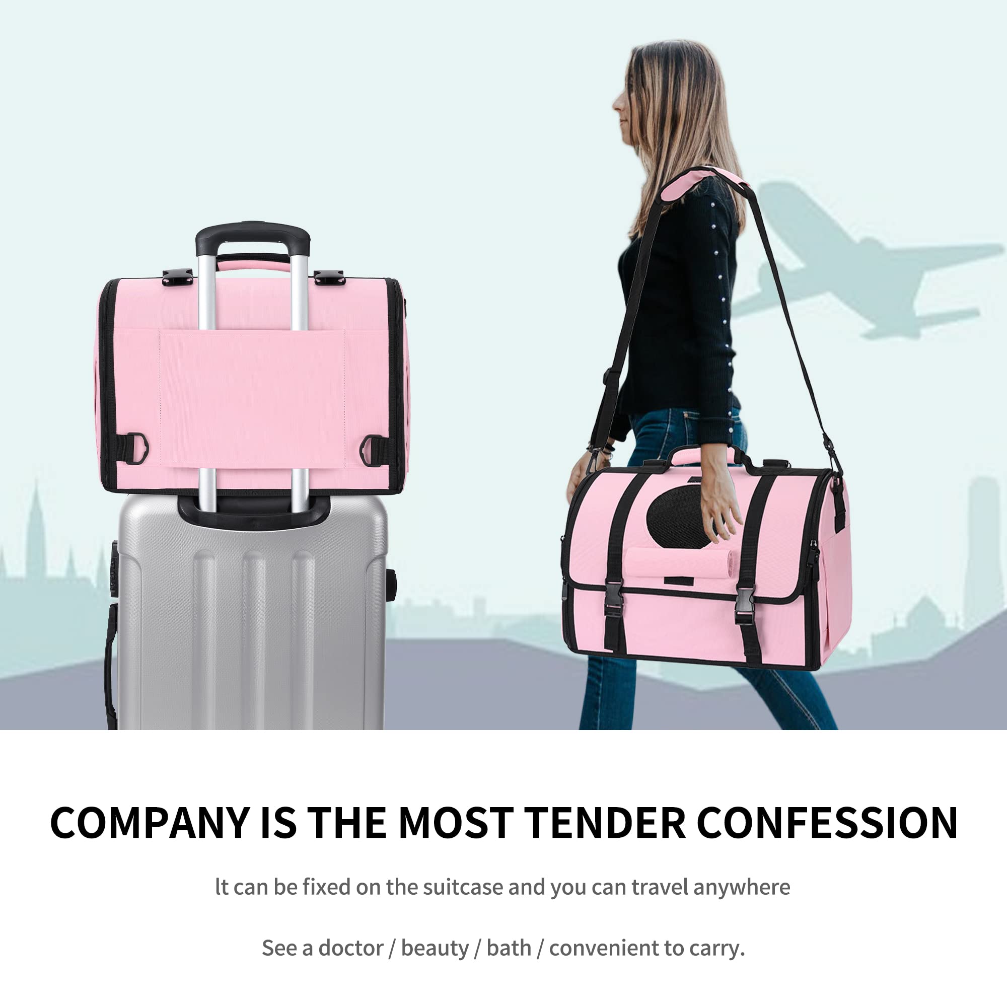 Mile High Life | Outdoor Travel Pet Carrier | Hiking Outdoor Dog Carrier Backpack | Collapsible Dog Carrier For Small Medium Dogs | Cat Crates W Breathable Mesh With Soft-Sided (Pink)