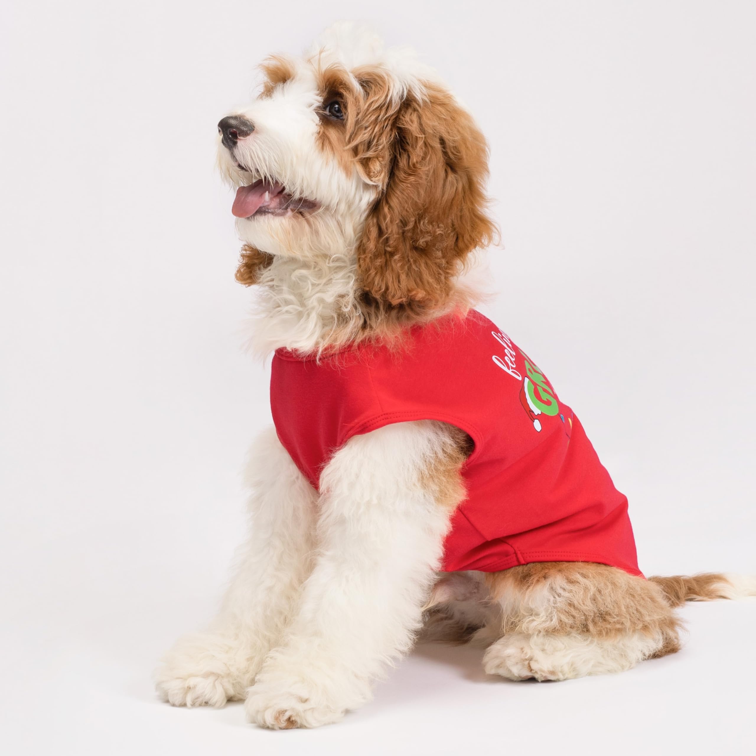 Fitwarm Feeling Extra Grumpy Today Funny Dog Shirt, Christmas Dog Clothes For Small Dogs Boy Girl, Holiday Doggy Tank Top, Pet O