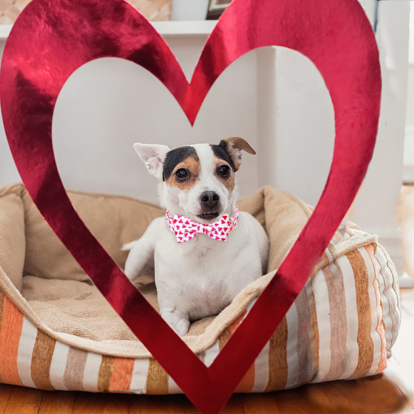 Babole Pet Valentine'S Day Dog Collar With Bow Tie, White Red Love Male Dog Collar With Safety Metal Buckle Adjustable Puppy Collars For Small Medium Large Boy & Girl Dog,Xs-Neck 8'-12'