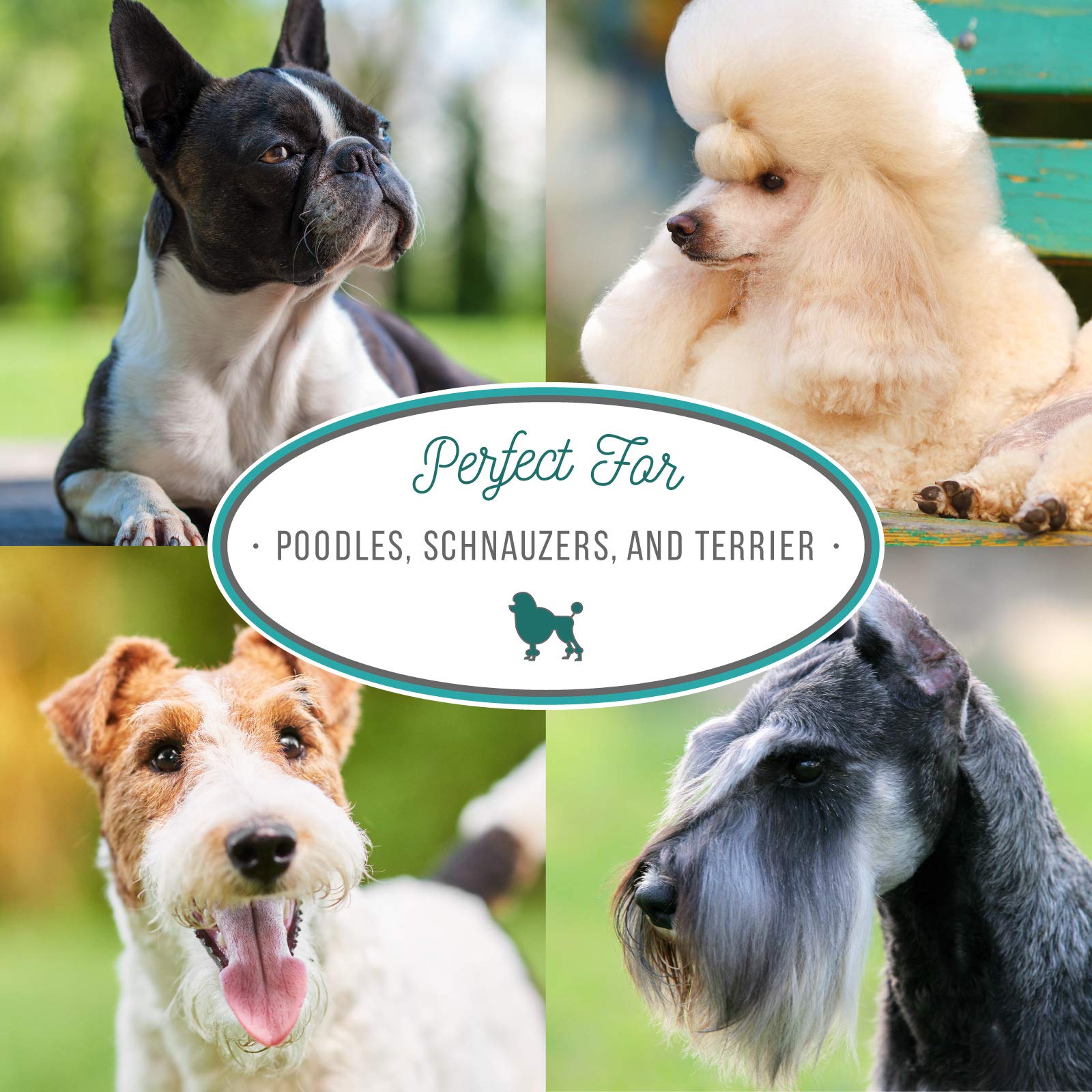 Nature'S Specialties Almond Crisp Ultra Concentrated Dog Shampoo For Pets, Make Up To 4 Gallons, Natural Choice For Professional Groomers, Texturizing And Volumizing, Made In Usa, 16 Oz