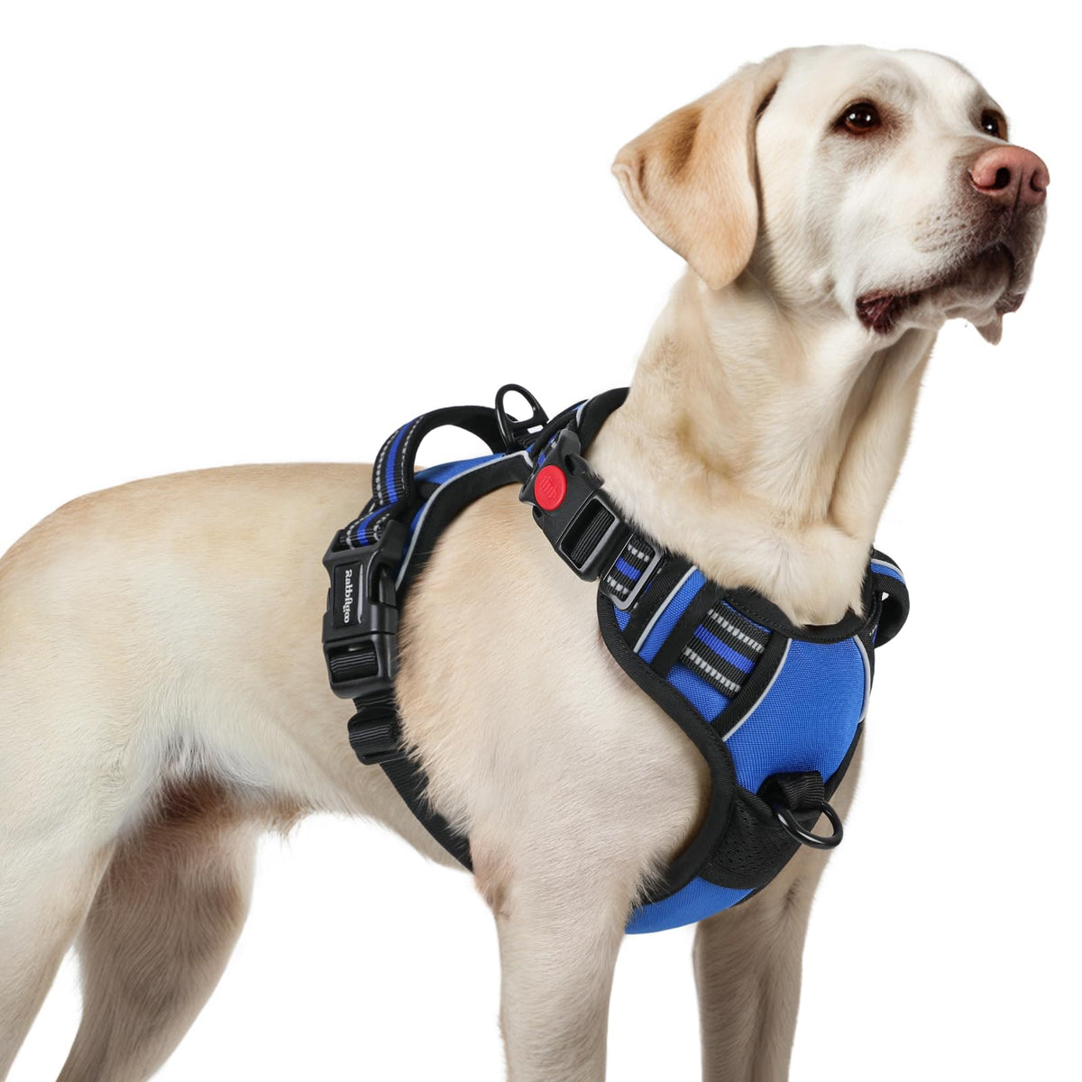 Rabbitgoo Dog Harness For Large, No Pull Pet Harness With 3 Buckles, Adjustable Soft Padded Pooch Vest With Instant Control Handle, Easy Walking Reflective Pet Vest For Large Dogs, Blue, L