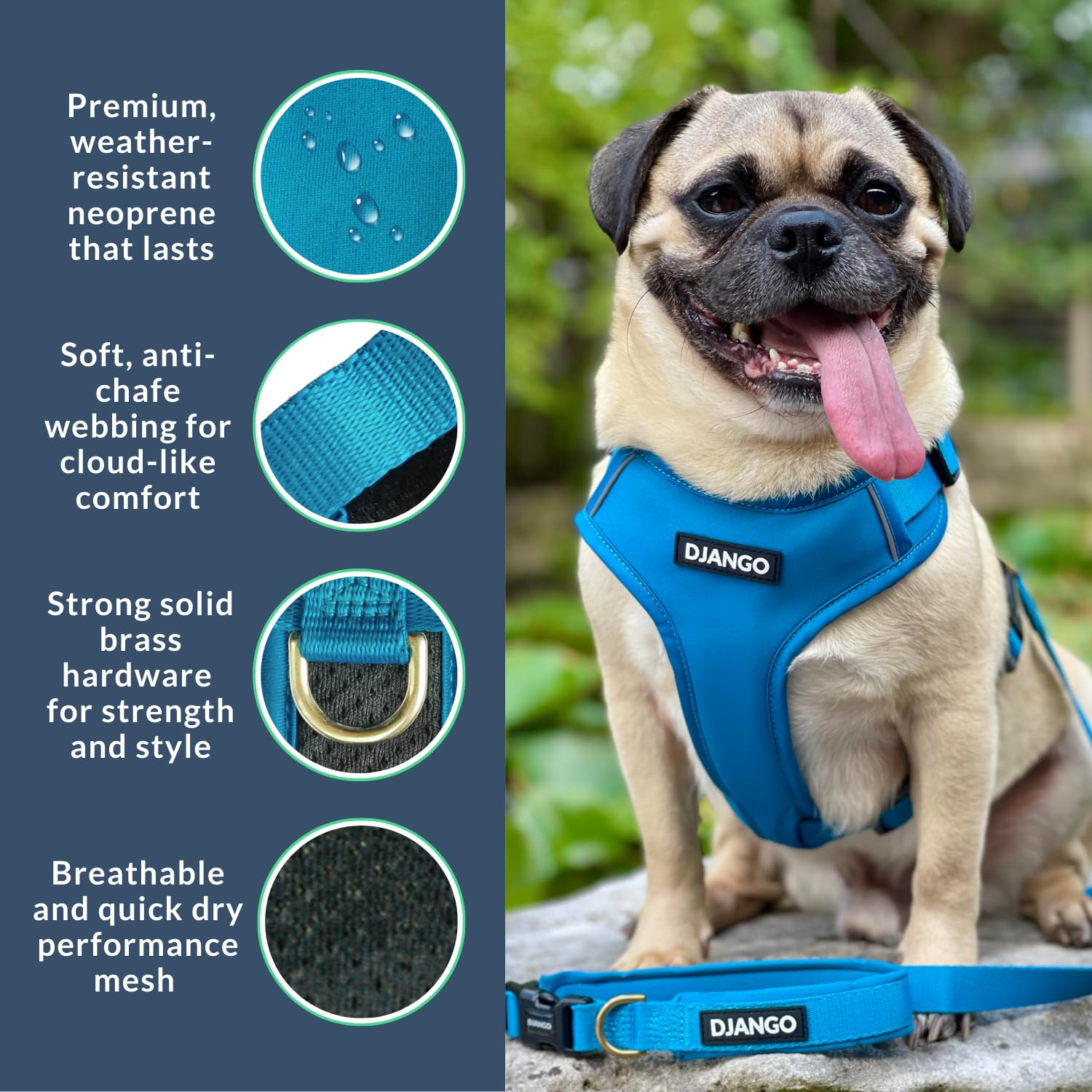 DJANGO Adventure Dog Harness - Stylish & Durable Small Dog Harness for Outdoor Adventures and Everyday Wear - Pacific Blue Neopr