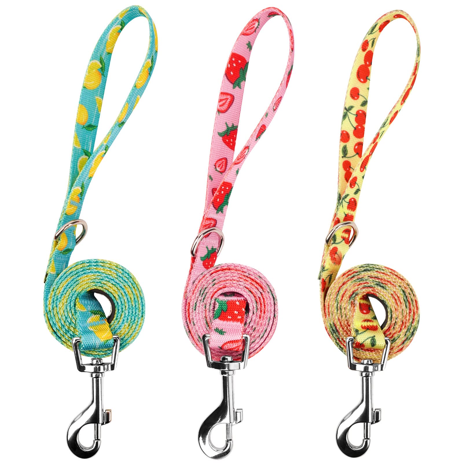 Azuza 3 Pack Fruit Design Nylon Dog Leashes Strong & Durable Basic Dog Leash With Easy To Use Collar Hook For Large Dogs, L (4Ft