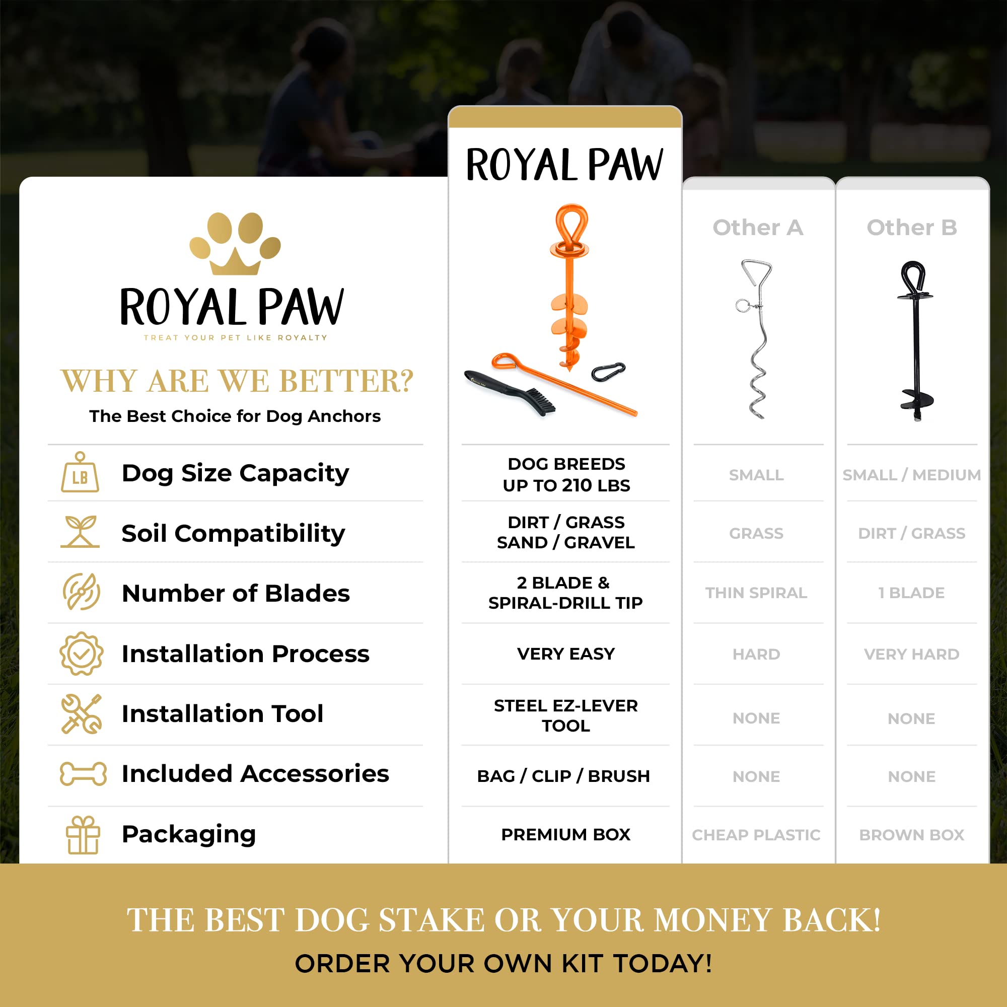 ROYAL PAW Dog Tie Out Stake - Heavy Duty Anchor for Large Dogs up to 210 lbs, Stainless Steel, O1-Royal Orange, Medium/Large/XL