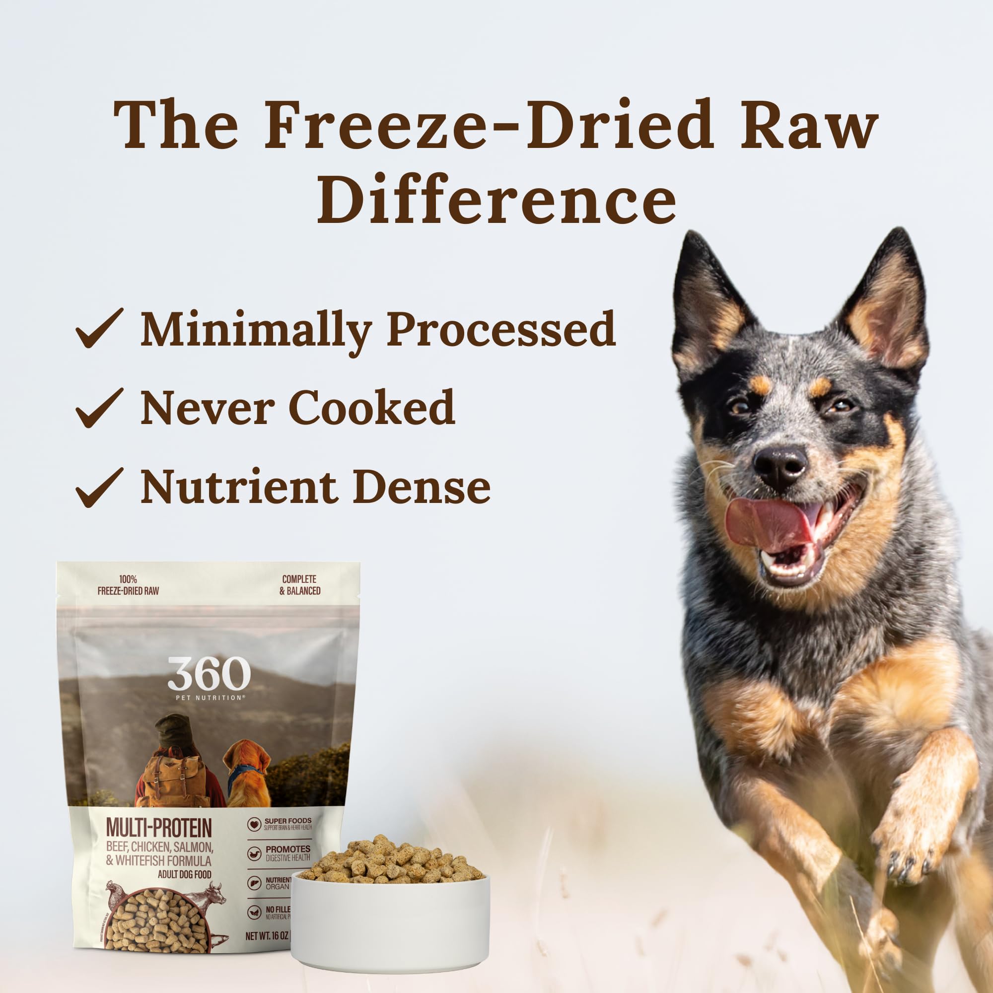 360 Pet Nutrition Freeze-Dried Raw Dog Food, High-Protein Complete Meal w/Beef, Chicken, Fish, Organs, Superfoods, No Fillers, 1