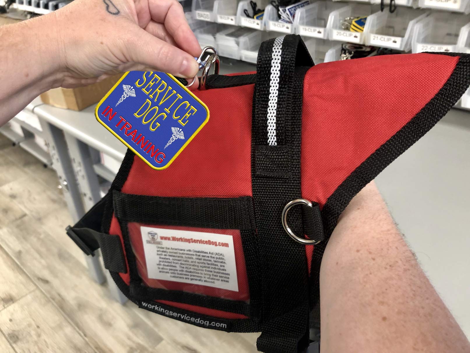 'Service Dog In Training'' - Clip On Identification Patch Tag - Includes Five Service Dog Handout Cards - Clips Onto A Service