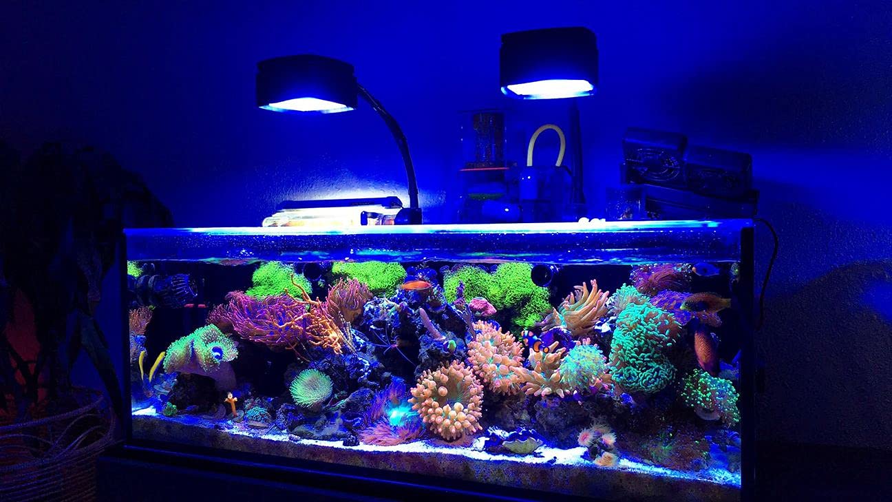 3Dreefing Ai Prime 16 Hd Reef Aquarium Led Light Shade And Diffuser