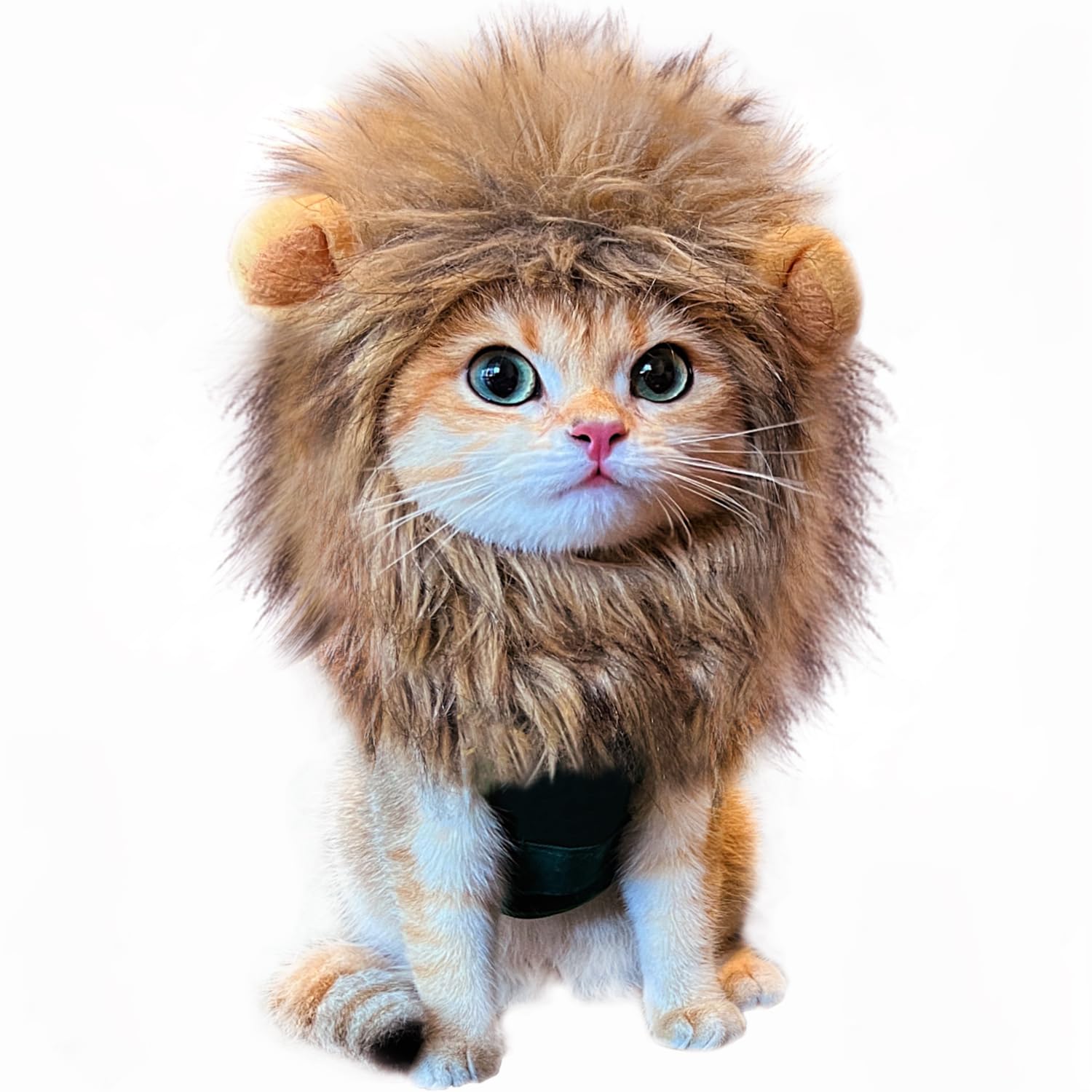 Rosylife Lion Mane Wig For Cat Costume Pet Adjustable Washable Comfortable Fancy Lion Hair Cat Clothes Dress For Halloween Christmas Easter Festival Party Activity (Medium, Black)