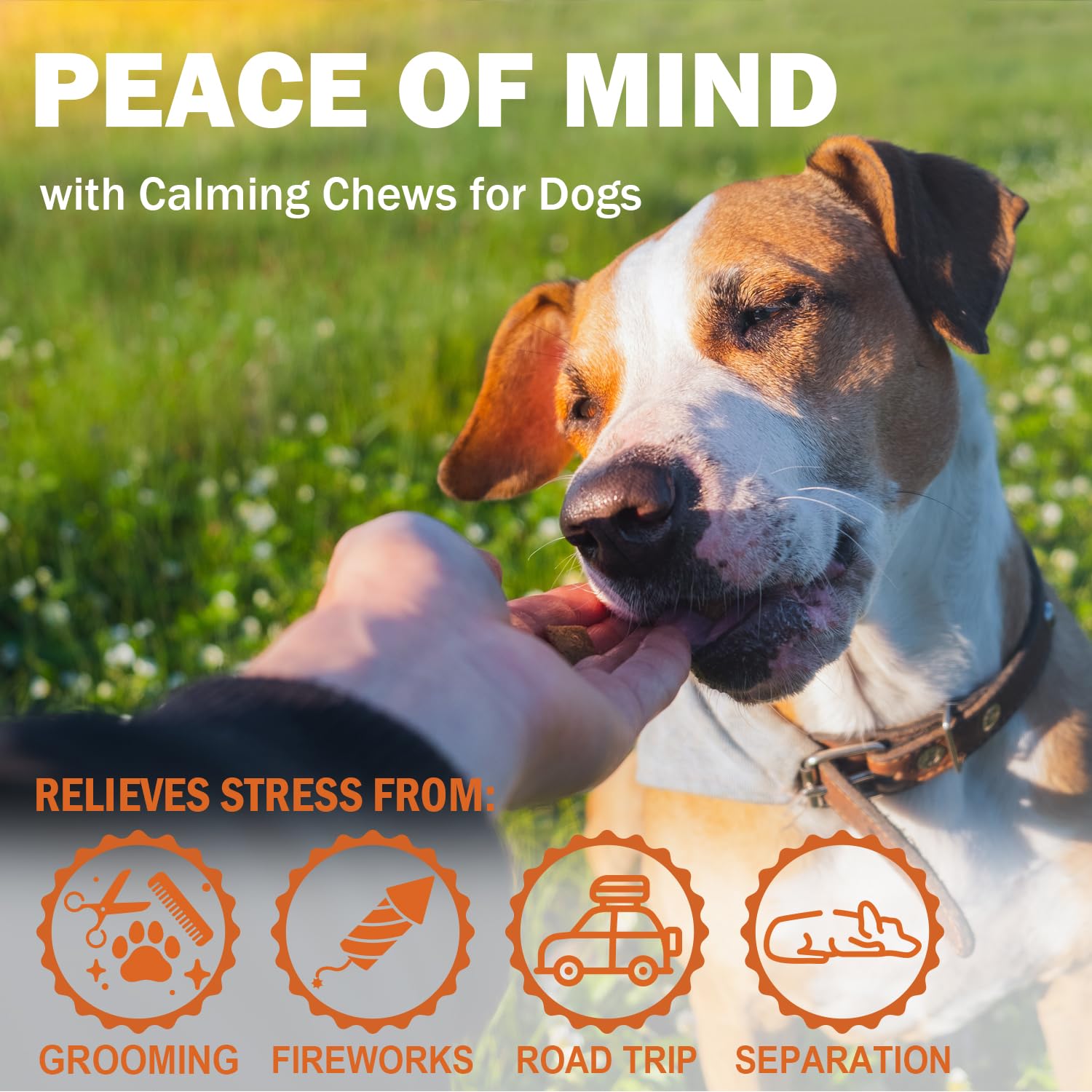 Hemp Calming Chews for Dogs - Chicken Flavor Soft Chews - Dog Calming Treats Supplement for Storm Anxiety, Sleep, Relaxing, Sepa