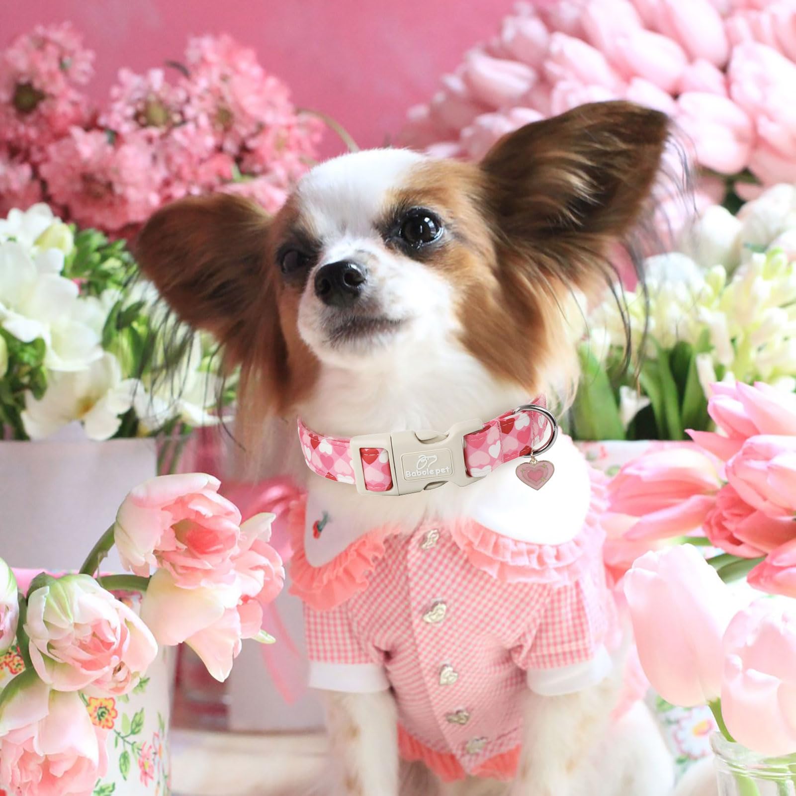 Babole Pet Valentines Dog Collar for Large Dogs - Design Cute Pink Valentine Dog Collars Boy Girl Puppy Adjustable Quick Release
