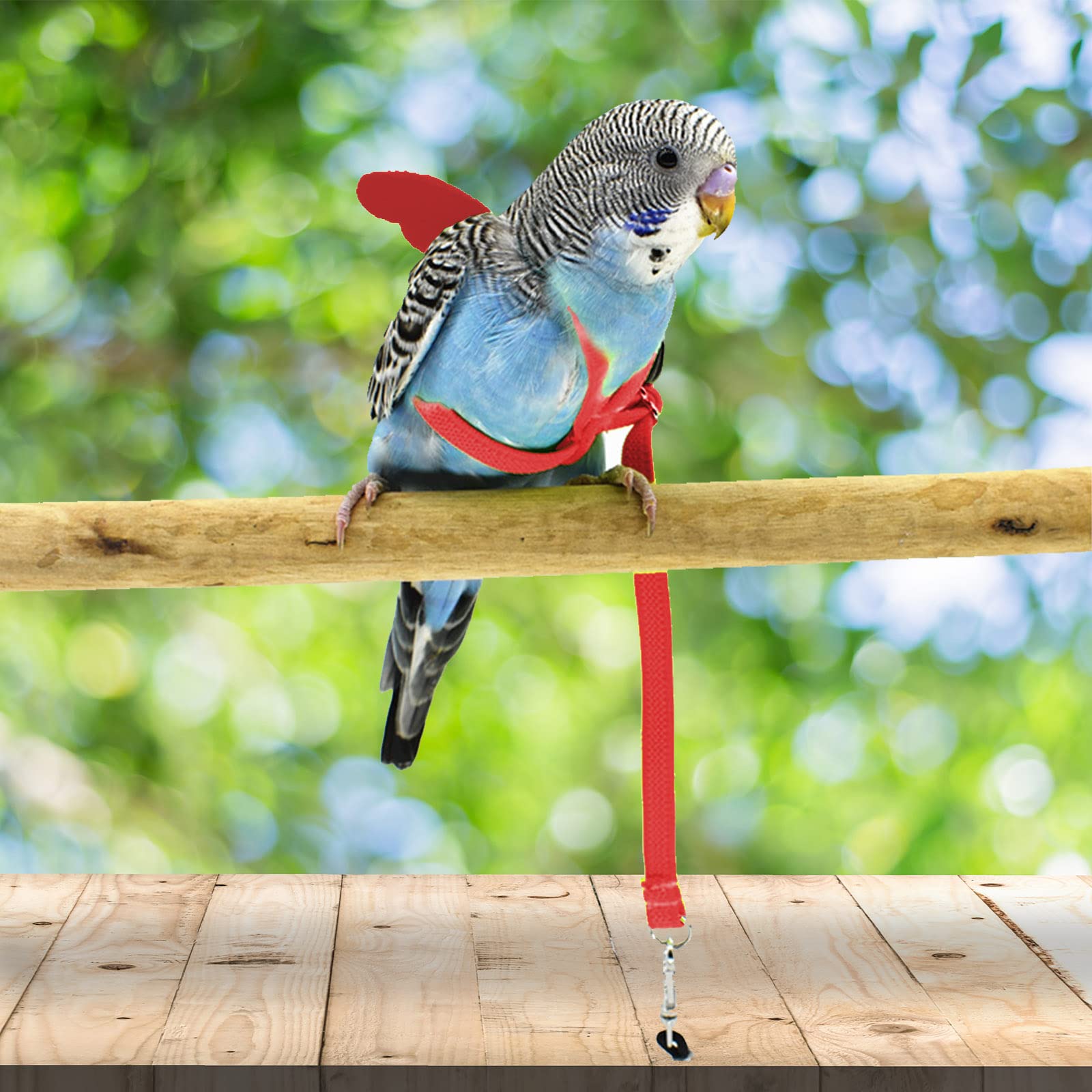Dnoifne Pet Parrot Bird Harness And Leash, Adjustable Training Design Anti-Bite, Bird Nylon Rope With Cute Wing For Parrots, Sui