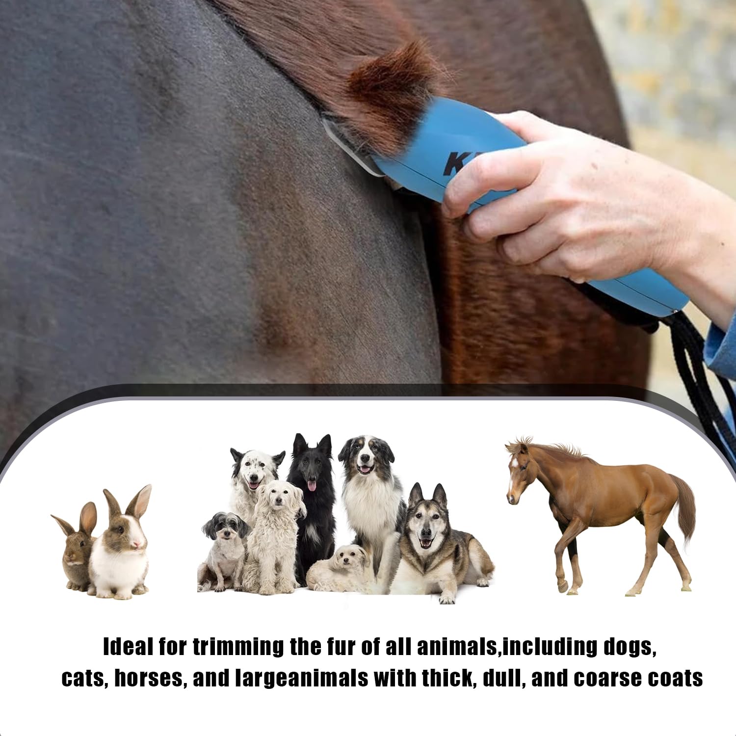 Wide Blades For Dog Grooming Blades Compatible With Andis Dog Clippers,4Fw Dog Clipper Blades Compatible With Oster A5,Wahl Km10