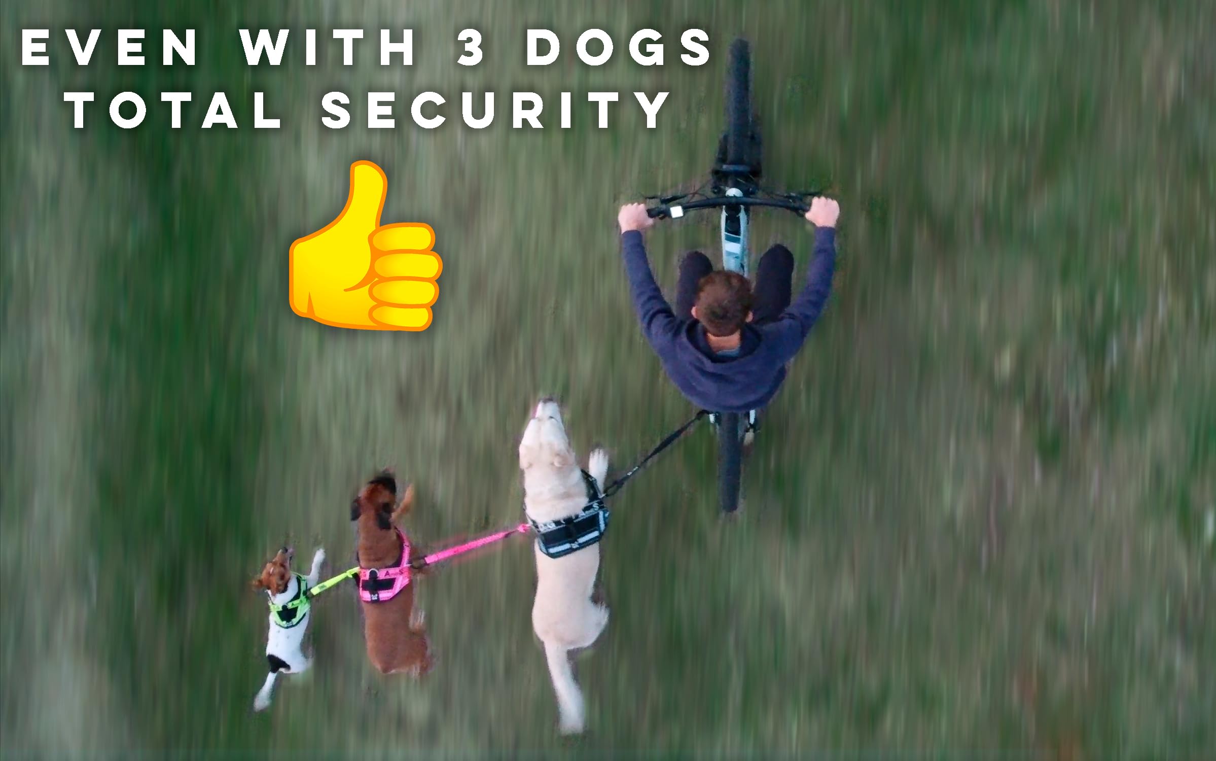 Dog Bike Leash, Hands Free Dog Leashes. Dog Bicycle Lead For Small, Medium And Large Dogs, Designed To Lead One Or More Dogs With Maximum Safety, Easy Assembly Without Tools. Patented Product.