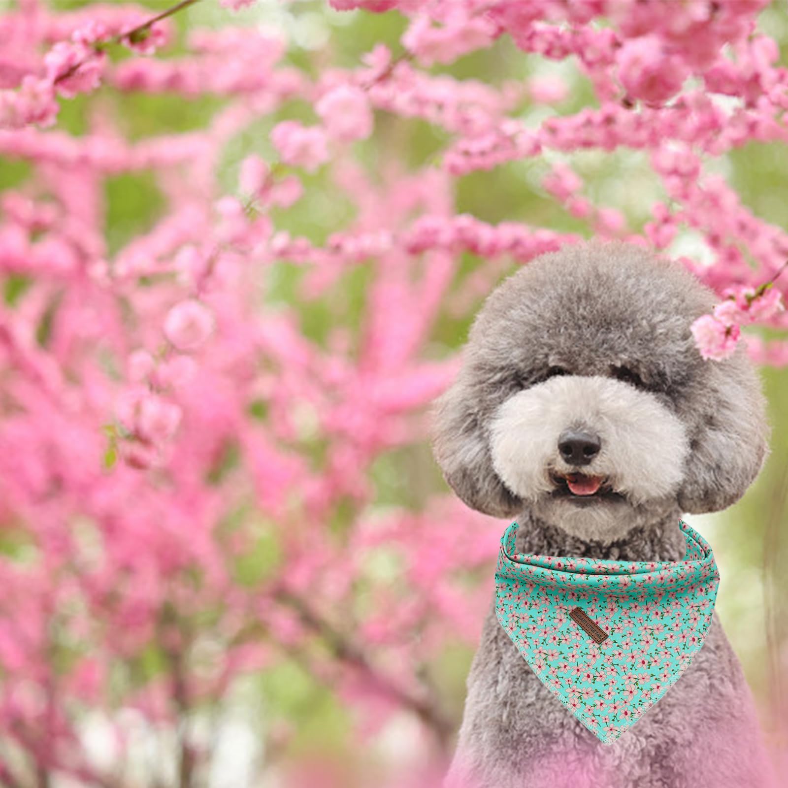Elegant Little Tail Dog Bandana, Spring Cotton Dog Bandana Floral Print Adjustable Dog Scarf Handkerchief Boy Dog Bibs Scarf For