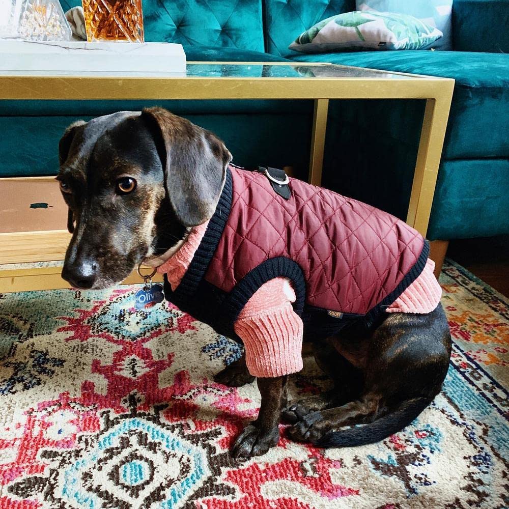 Gooby Fashion Vest Dog Jacket - Purple, Small - Warm Zip Up Dog Bomber Vest With Dual D Ring Leash - Winter Water Resistant Small Dog Sweater - Dog Clothes For Small Dogs Boy Or Medium Dogs