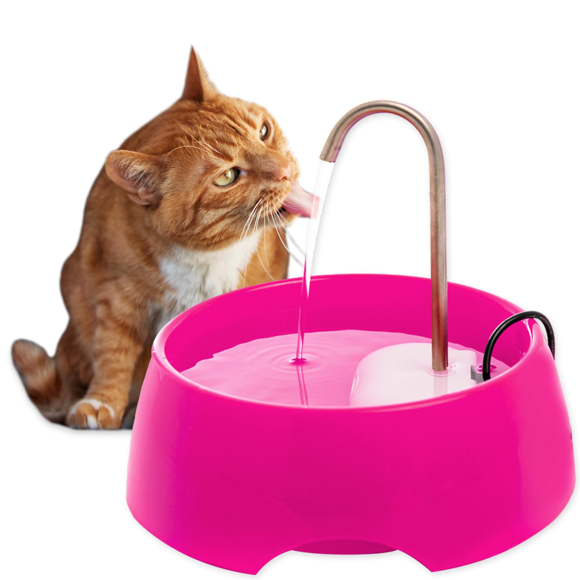 Aqua MINI Portable Pet Water Fountain - Automatic Drinking Bowl for Cats and Dogs - Stainless Steel Faucet - Replaceable Filters