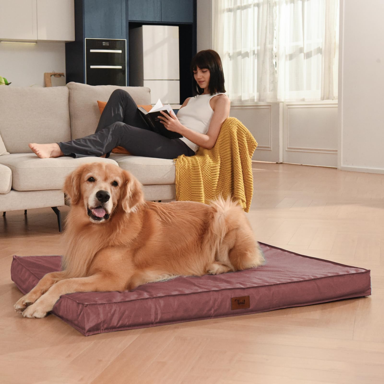 Tail Stories Outdoor Extra Large Dog Bed, Jumbo Waterproof Dog Bed For Large Dogs, Orthopedic Egg Foam Pet Bed Mat With Removabl