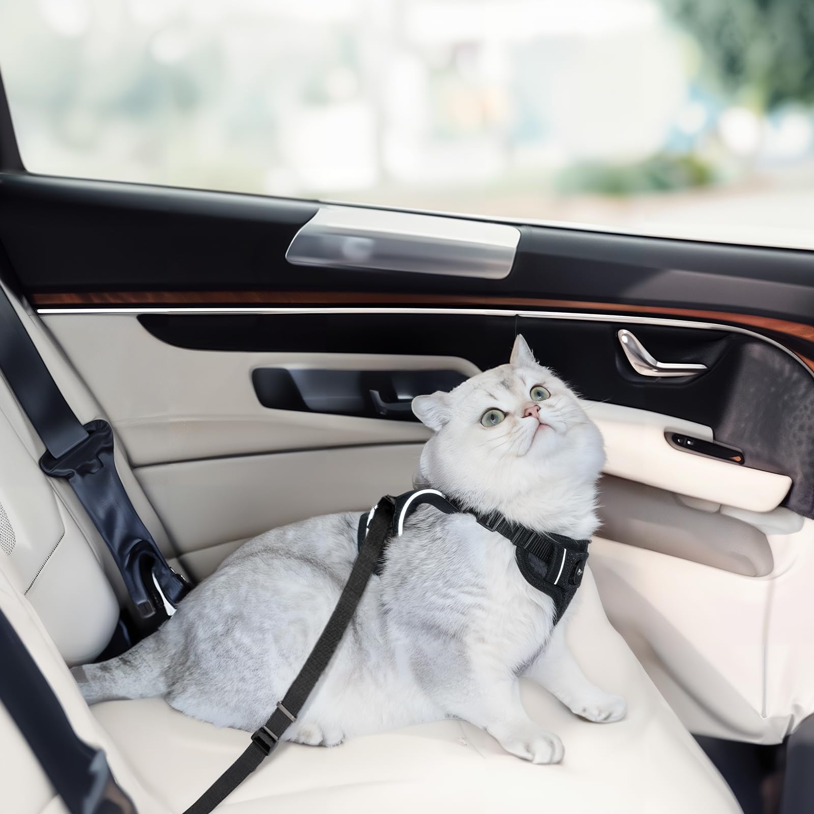 Cat Harness and Leash for Walking, Cat Car Harness, Escape Proof Soft Adjustable Vest Harnesses for Cats, Easy Control Breathabl