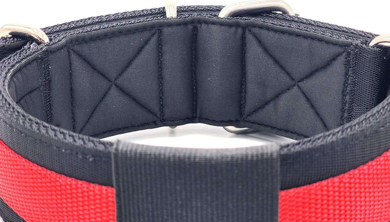 Canine Athletes 2'' Wide Elite Max V2 Neoprene Padded Thick Working Dog Collar For Strong Dogs (Small)